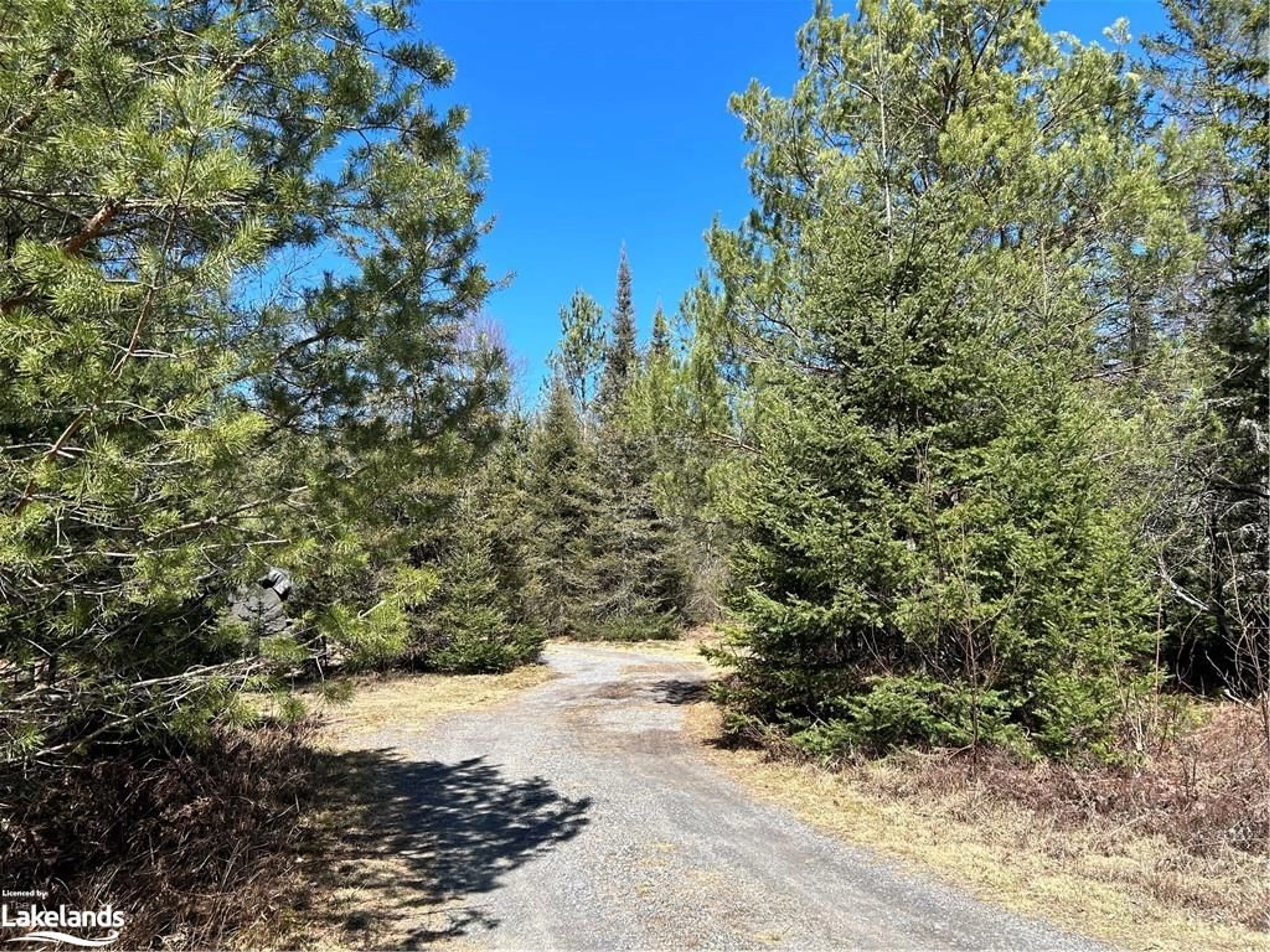 Forest view for 366 Airport Road, Sundridge Ontario P0A 1Z0