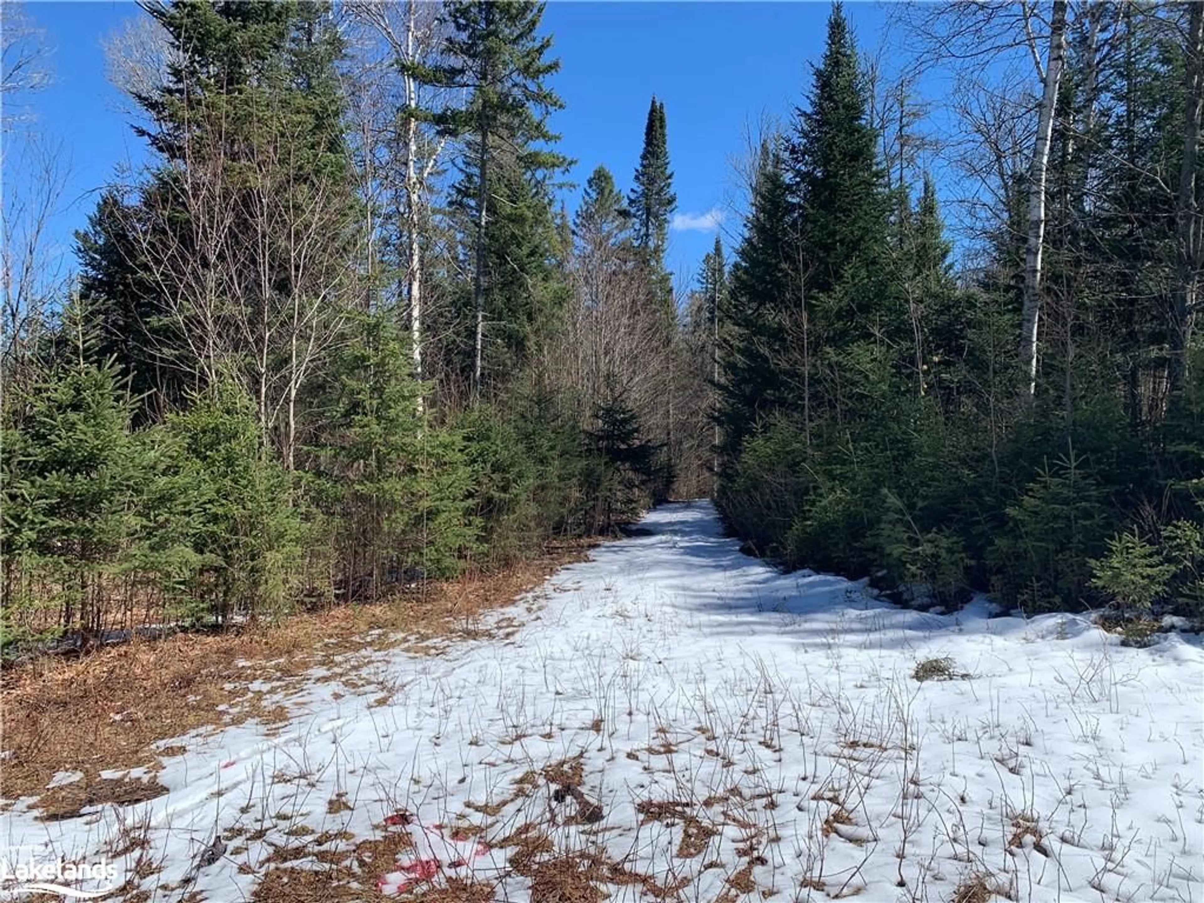 Forest view for PART LOT 15 Granite Hill Conc, Nipissing Ontario P0H 1W0
