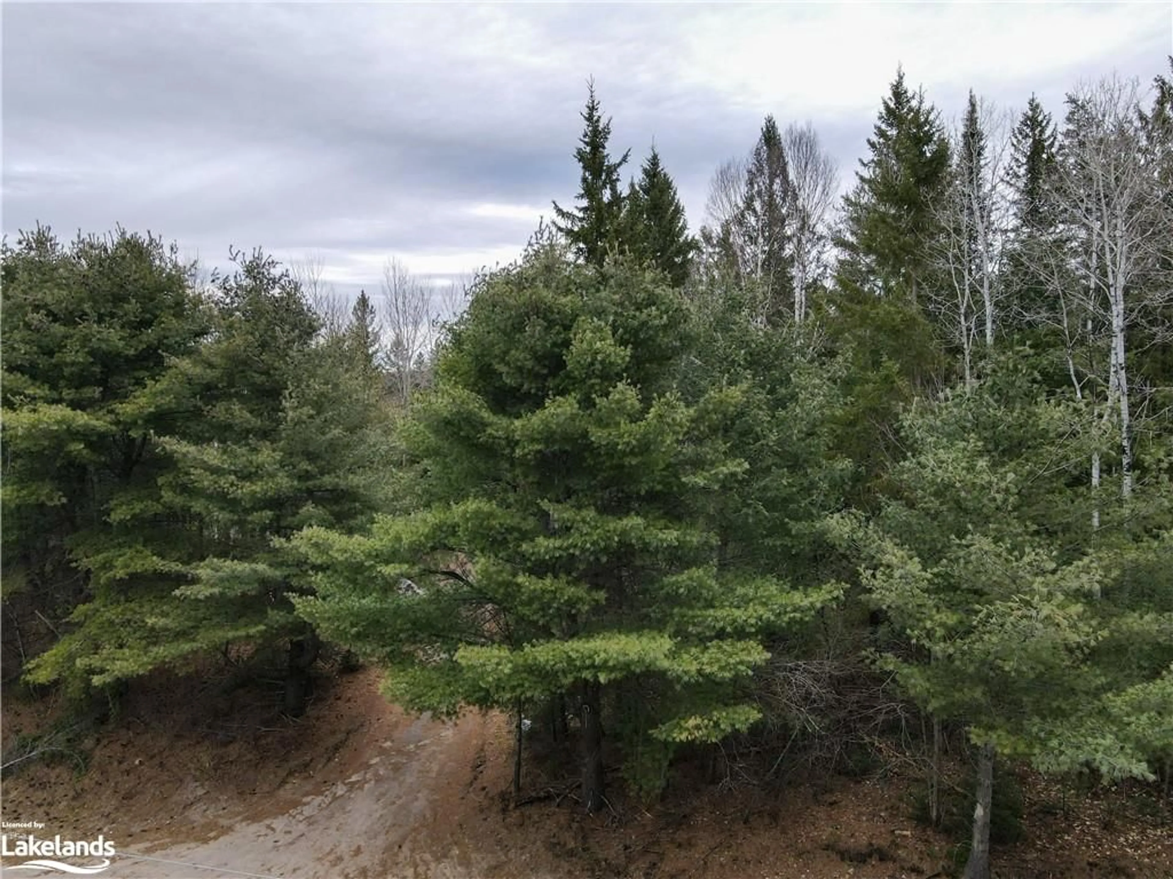 Forest view for 0 Old Muskoka Rd #Lot 2, Emsdale Ontario P0A 1J0