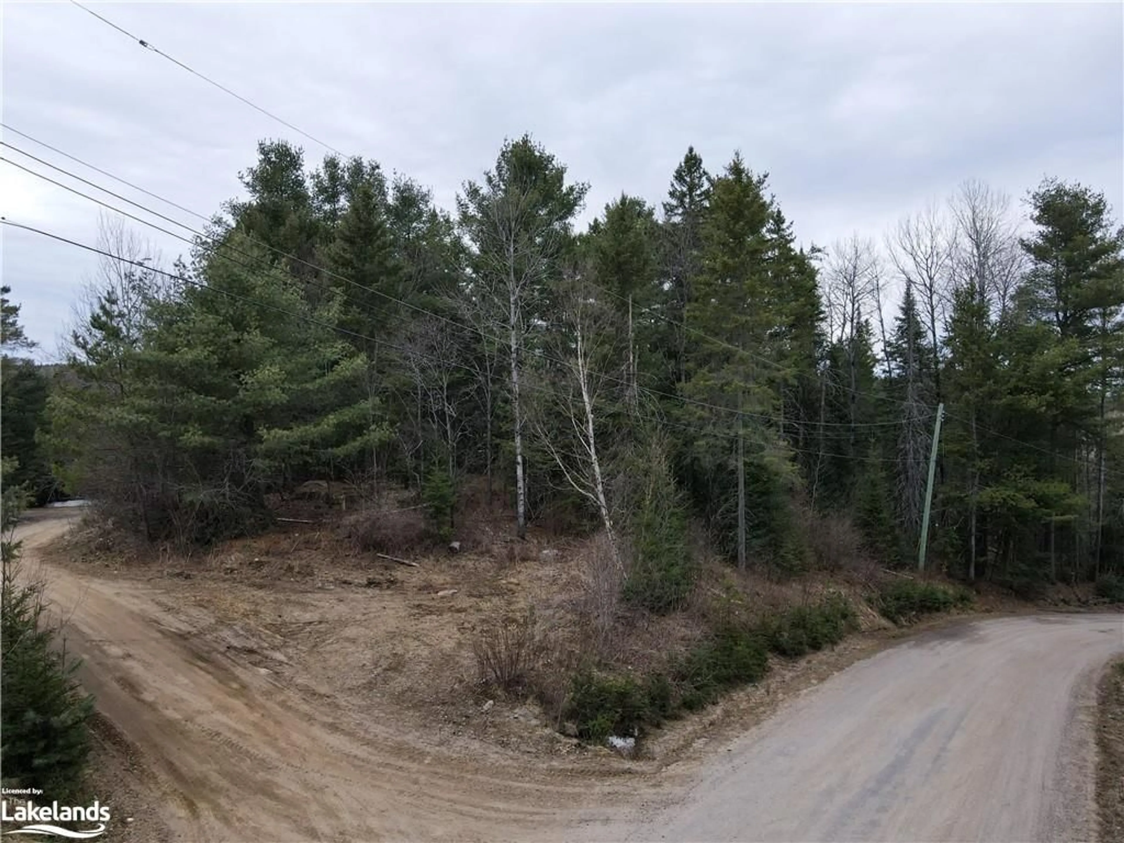 Forest view for 0 Old Muskoka Rd #Lot 1, Emsdale Ontario P0A 1J0