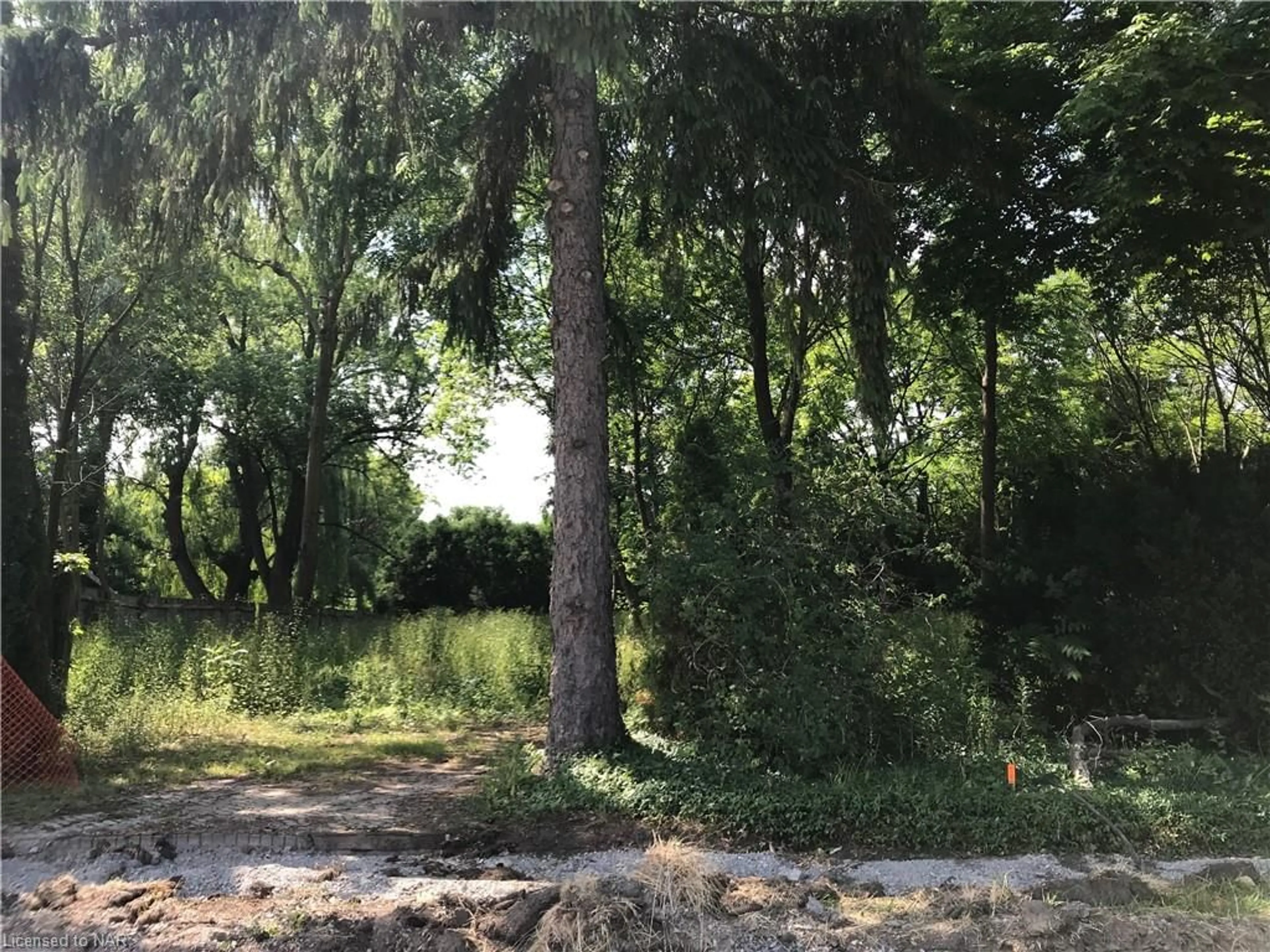 Forest view for 515 Gate St, Niagara-on-the-Lake Ontario L0S 1J0