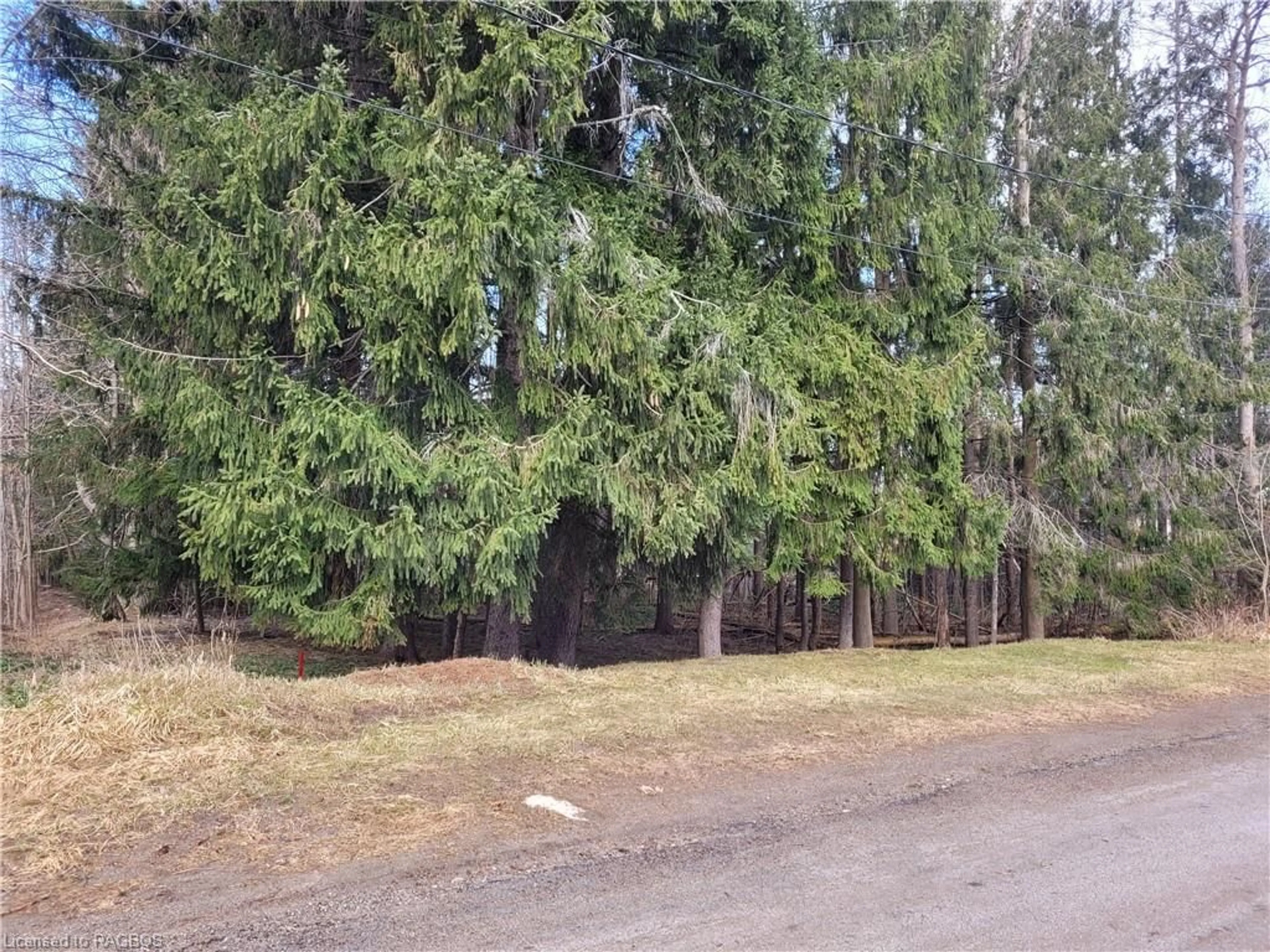 Street view for PT LOT 9-10 Mcnaughton St, Wiarton Ontario N0H 2T0