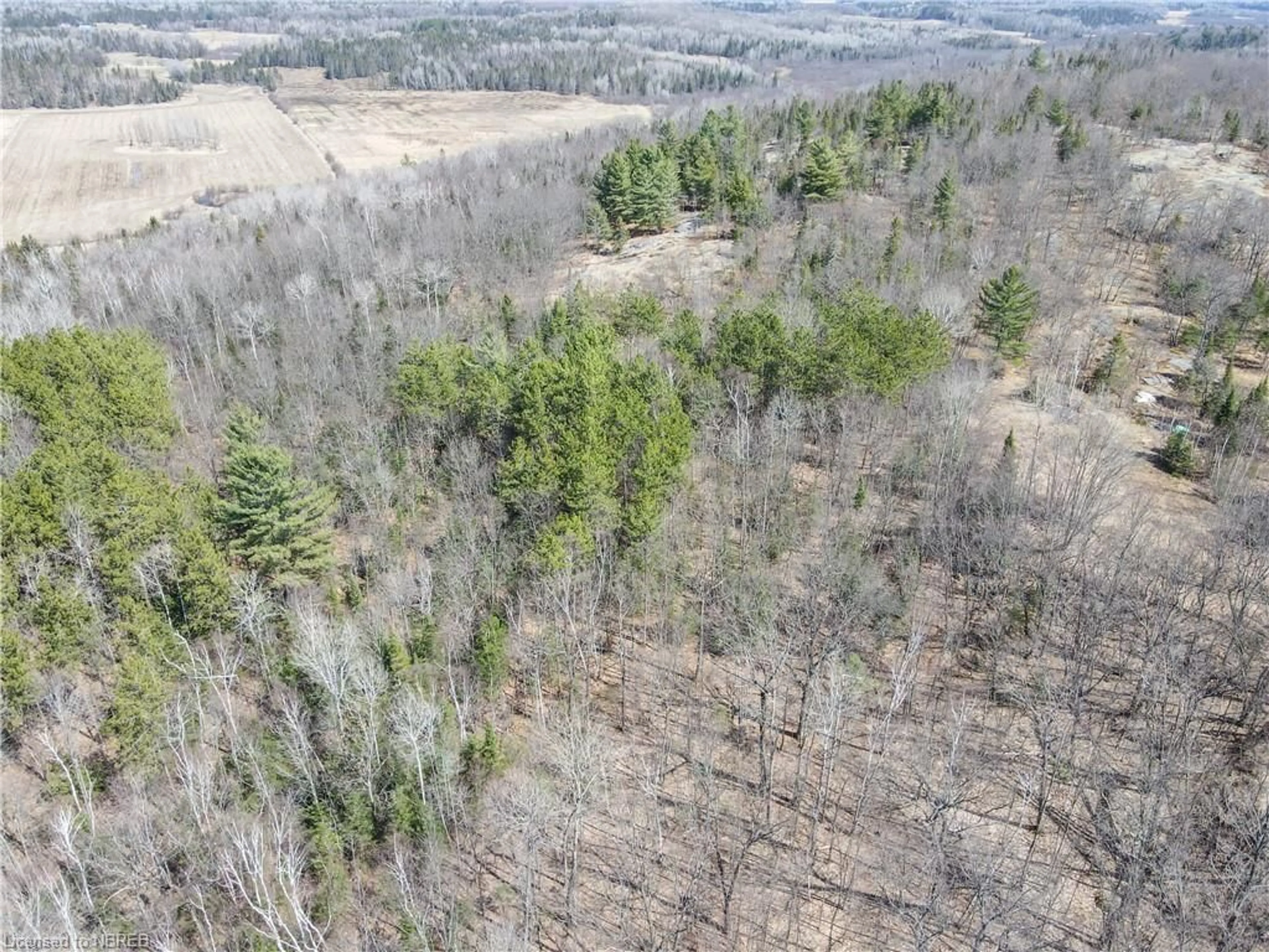 Forest view for LOT 1-5 Glendale Heights Dr, Powassan Ontario P0H 1Z0