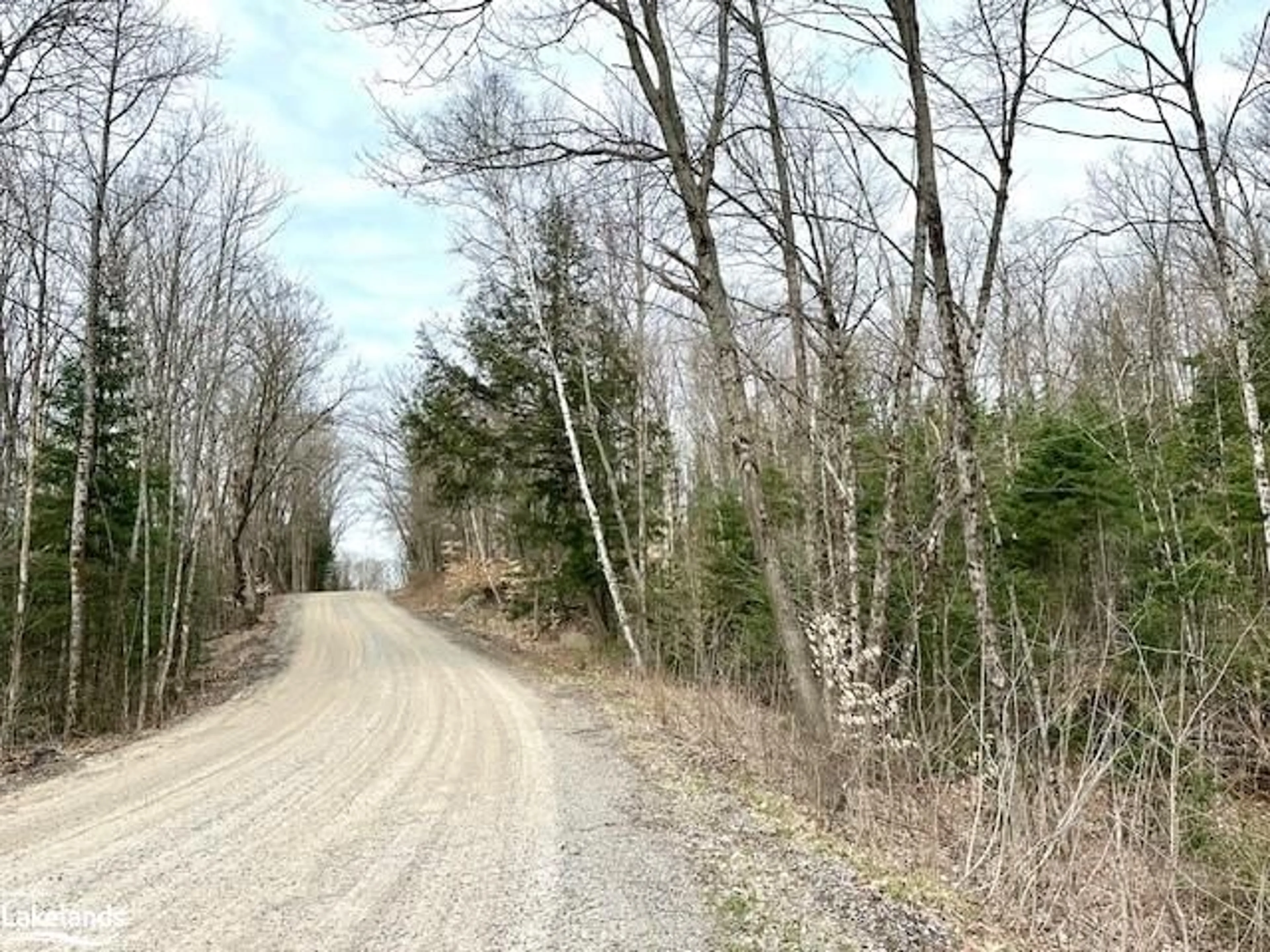 Forest view for 0 Dwight Beach Rd, Dwight Ontario P0A 1H0