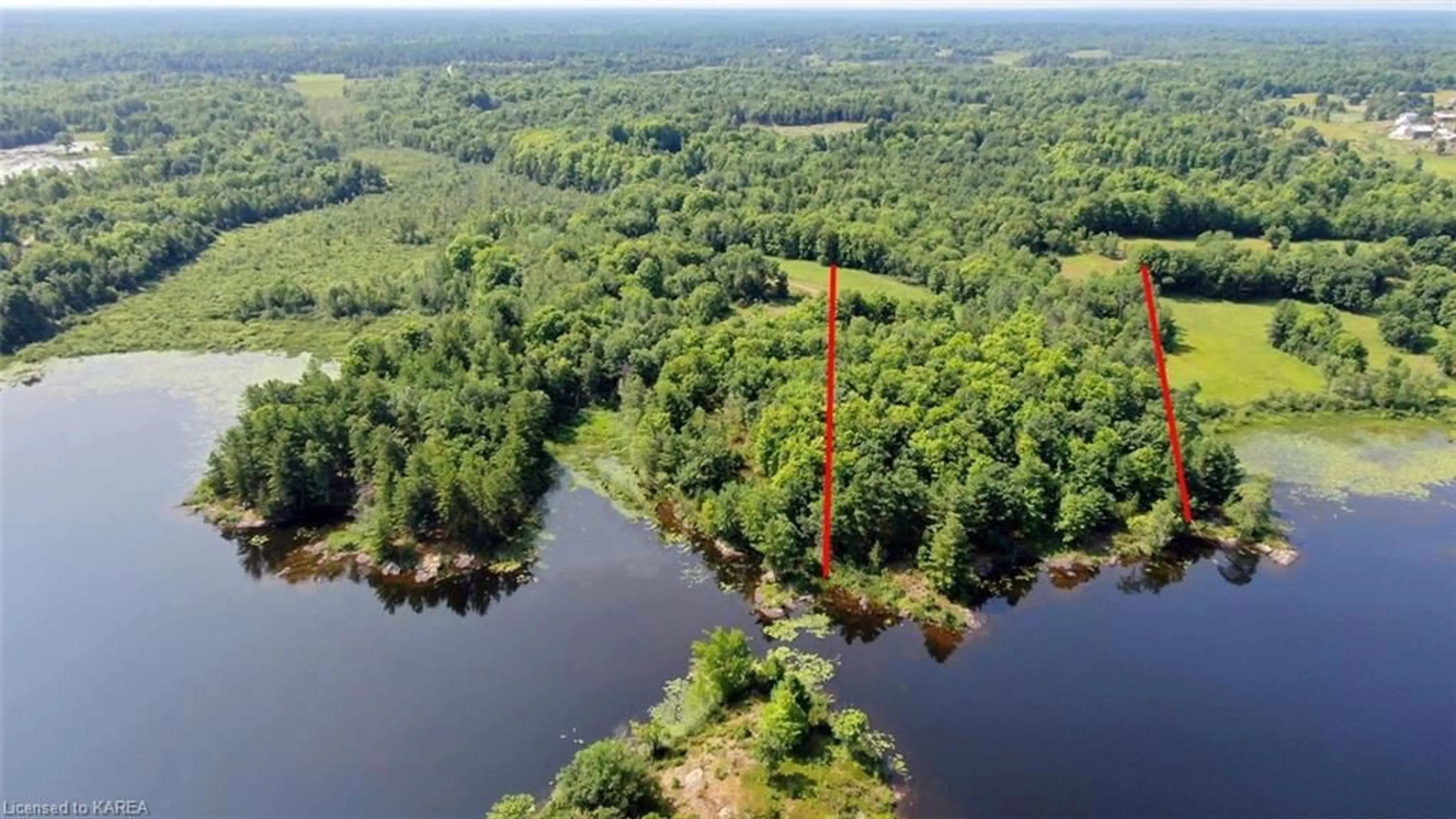 Forest view for PT LOT 27 Cronk Rd, Parham Ontario K0H 2K0