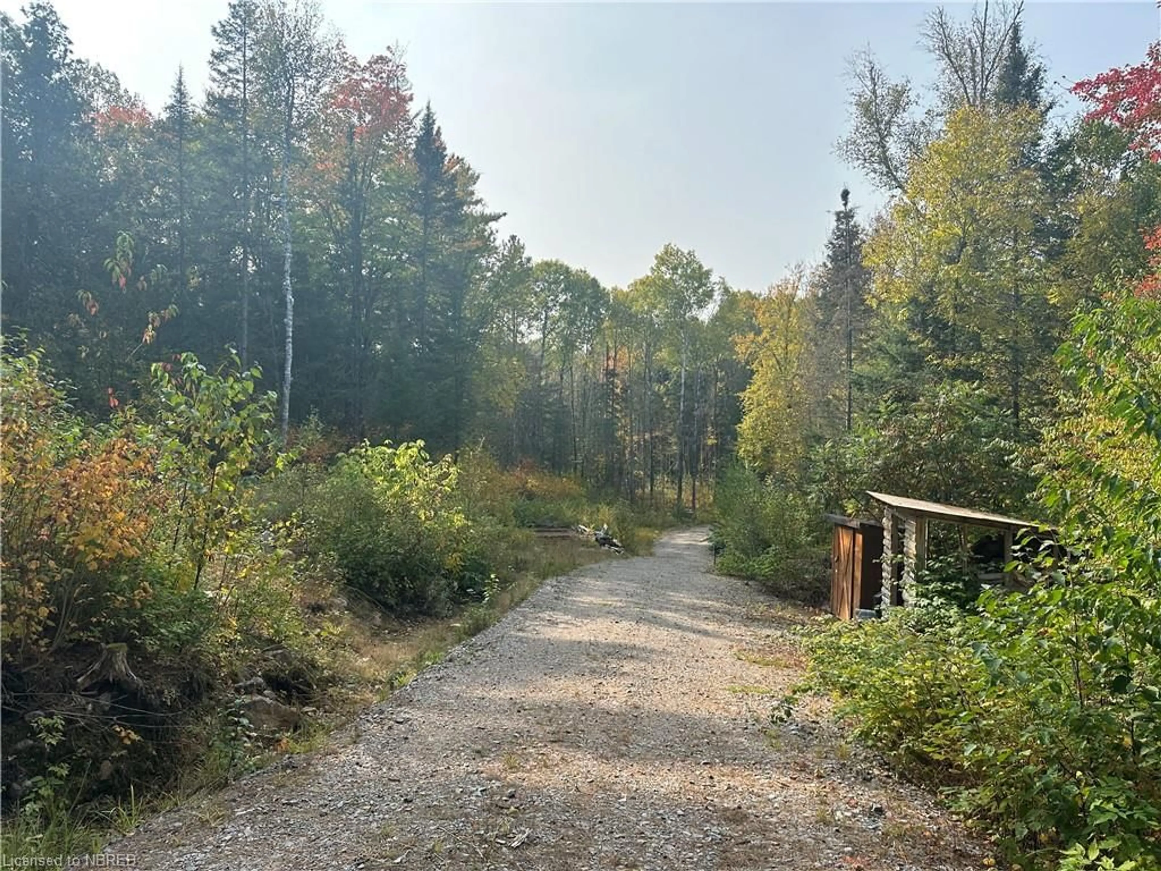 Forest view for PT LT 19 Hwy 17, Bonfield Ontario P0H 1E0