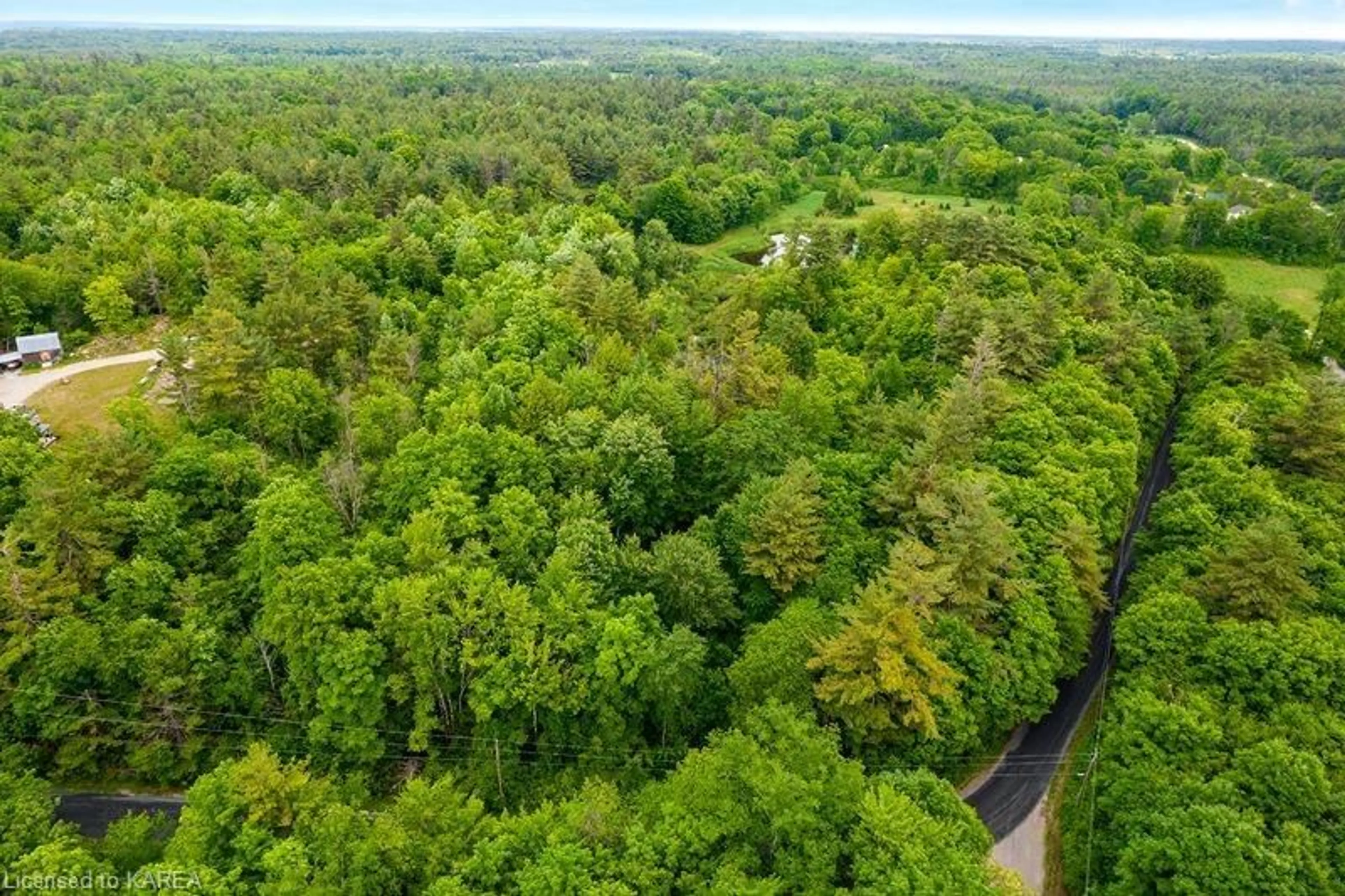 Forest view for 408 Doran Rd, Maberly Ontario K0H 2B0