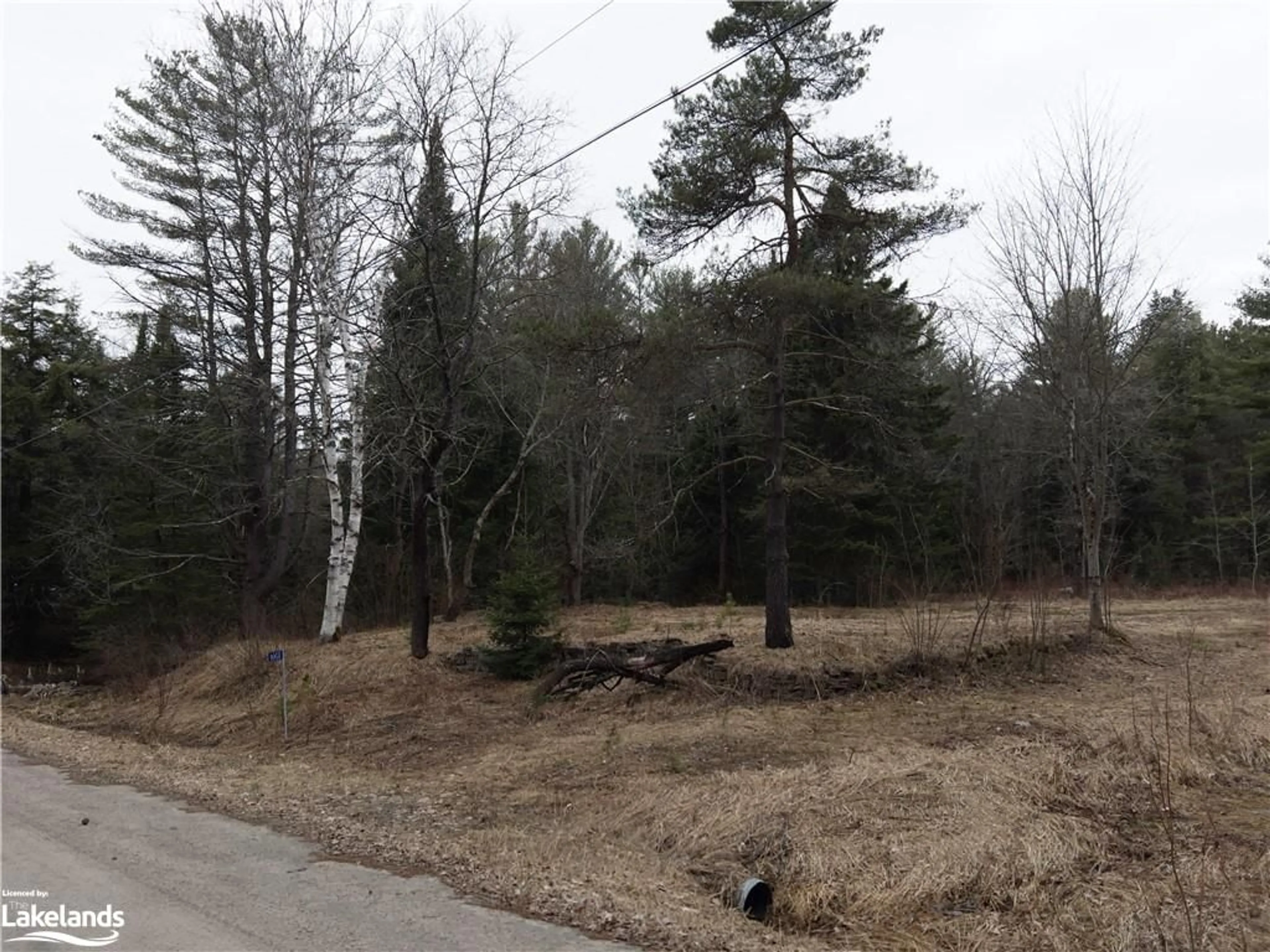 Forest view for 1061 Naismith Rd, Bracebridge Ontario P1L 1X4