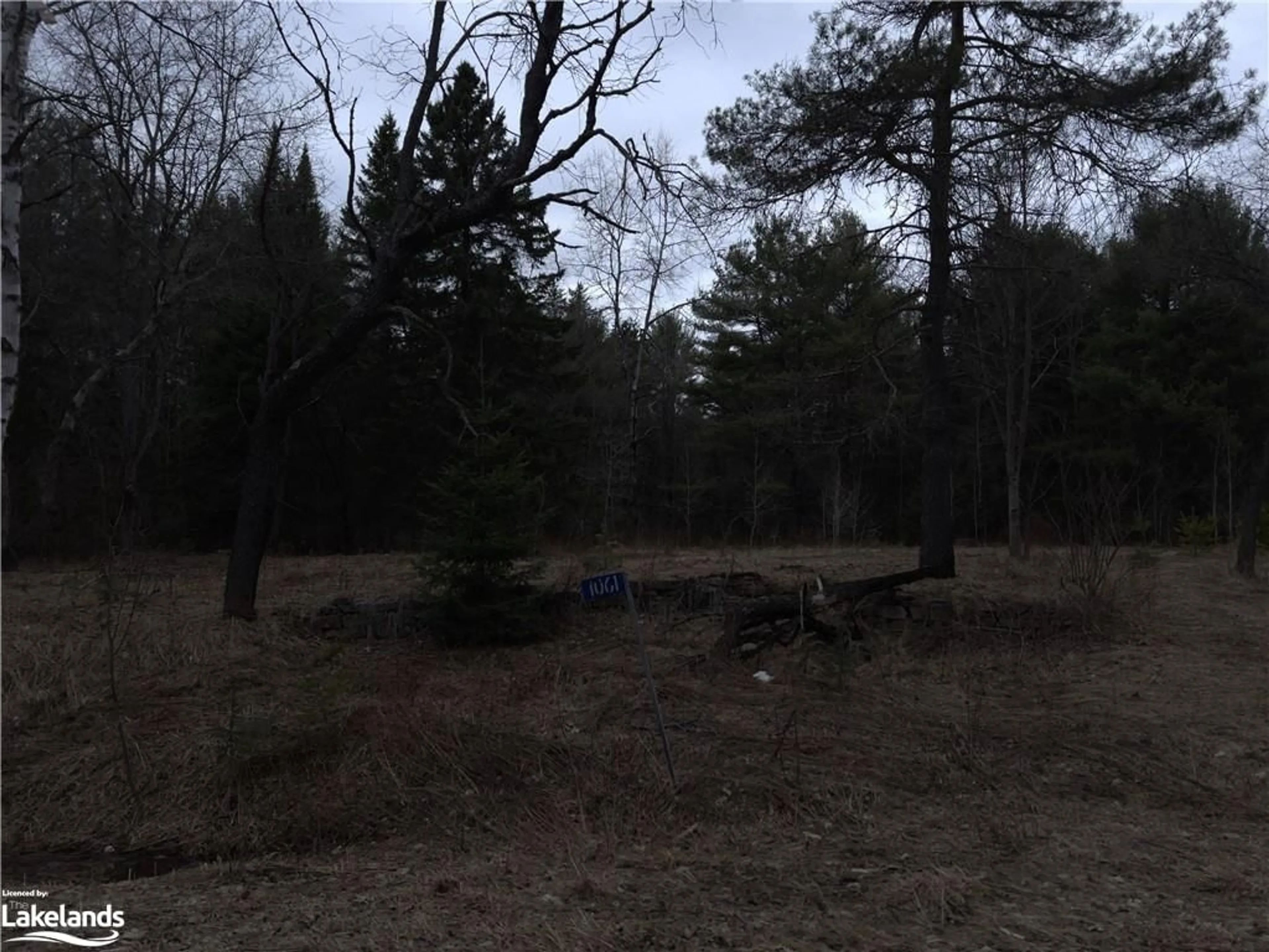 Forest view for 1061 Naismith Rd, Bracebridge Ontario P1L 1X4