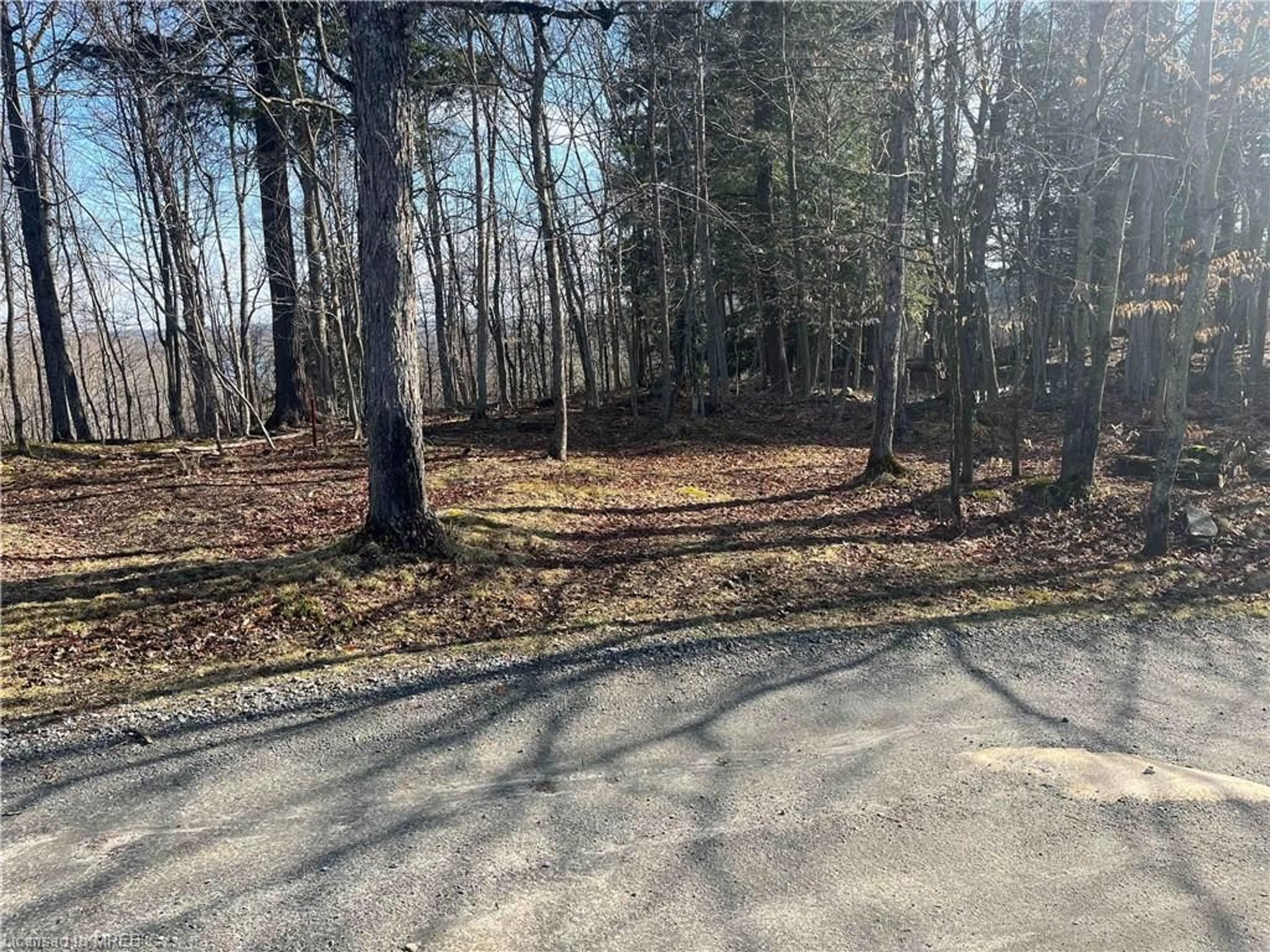 Forest view for LOT 17 Maple Leaf Dr, Huntsville Ontario P1H 2J2