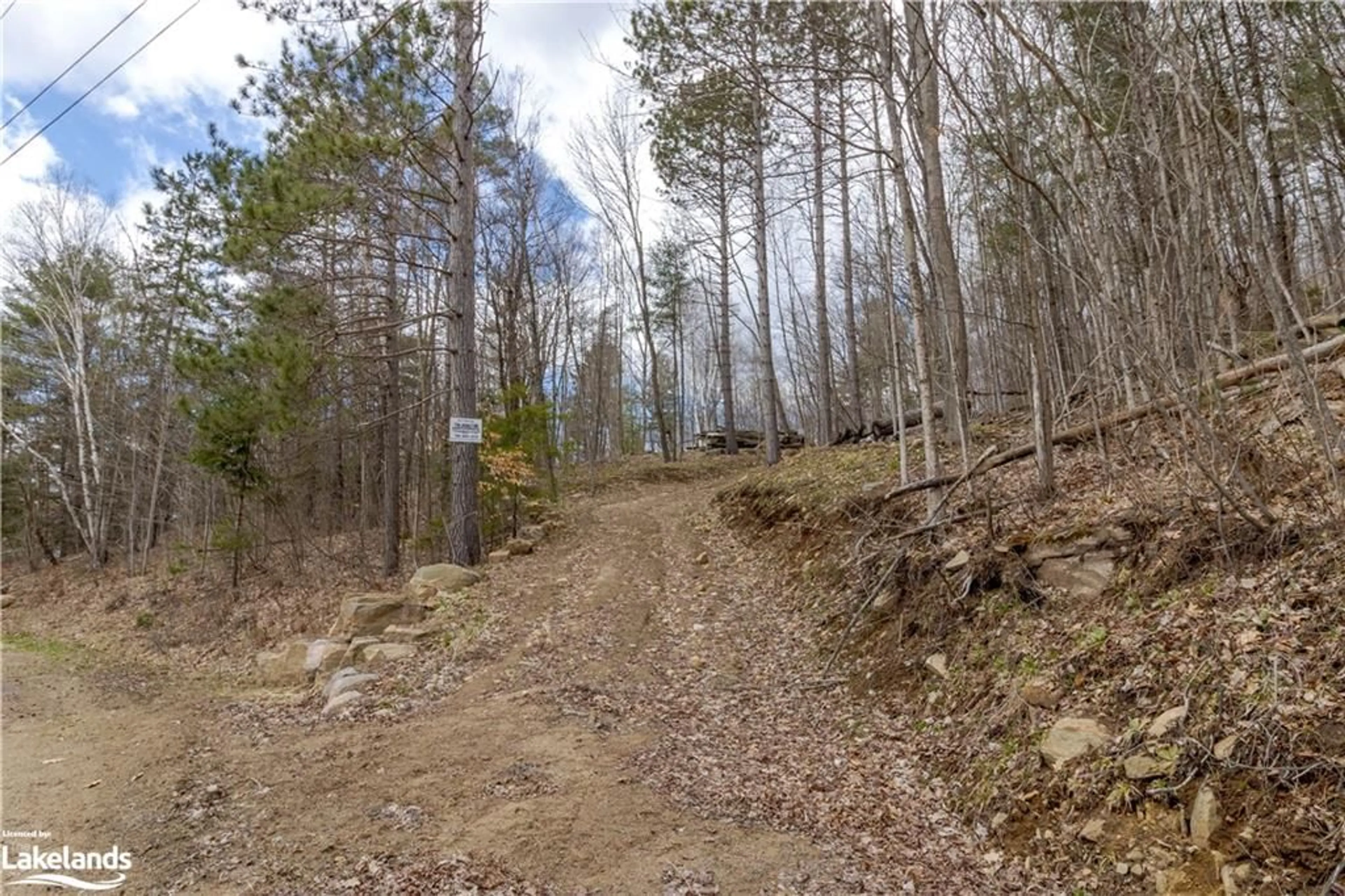 Forest view for 0 East Rd, Minden Hills Ontario K0M 2K0