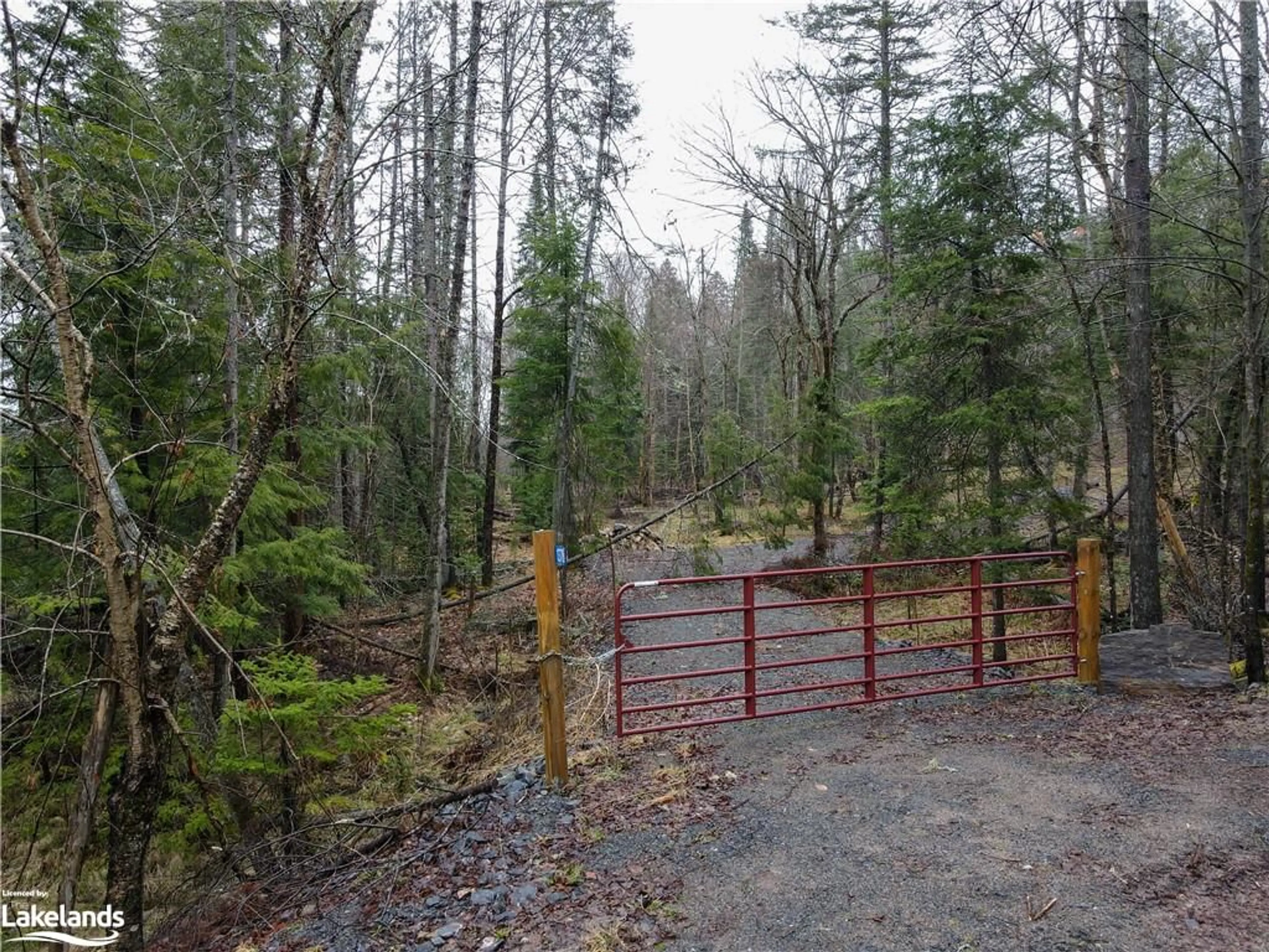 Forest view for 1378 North Mary Lake Rd, Huntsville Ontario P1H 2J3