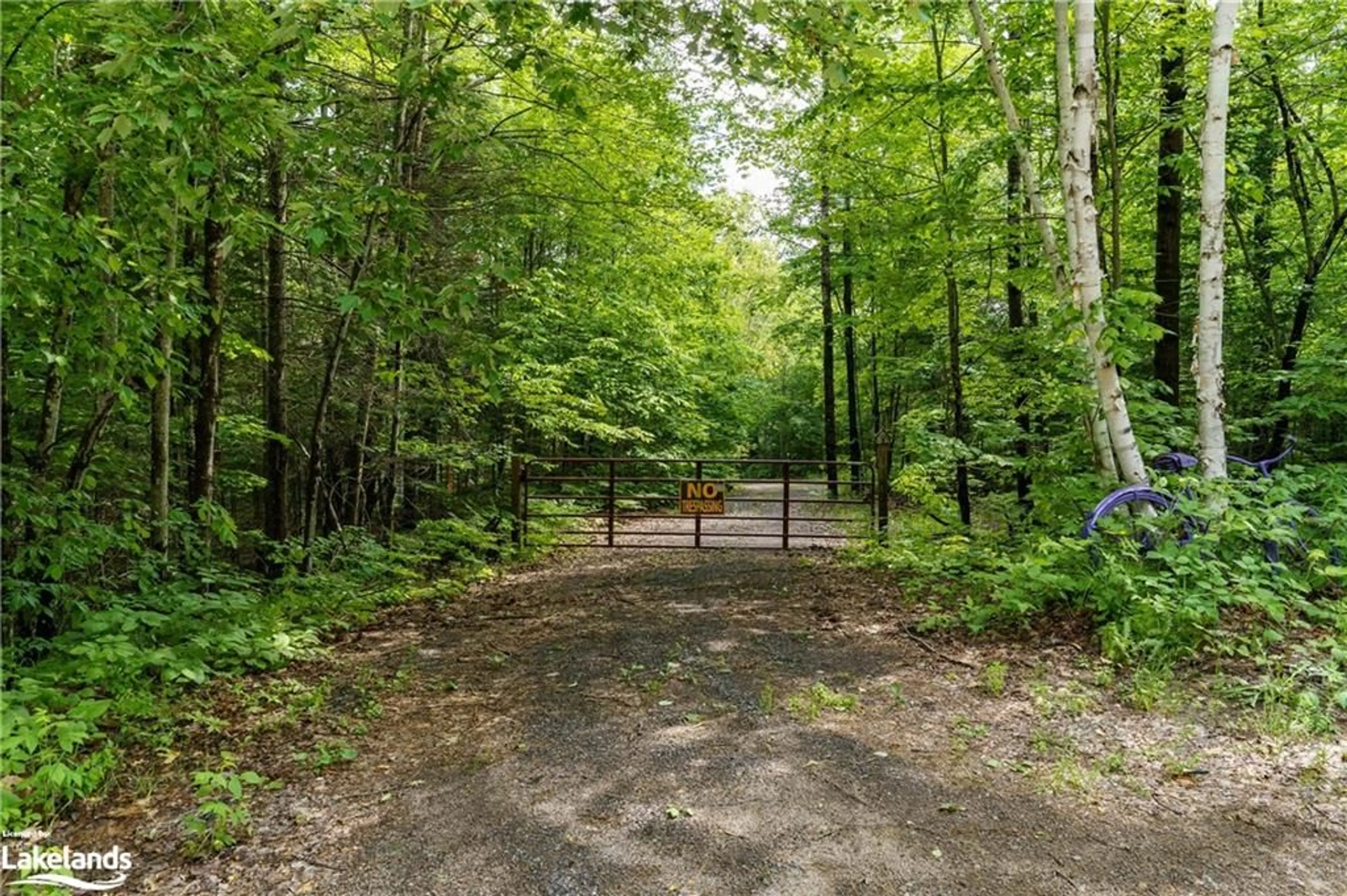Forest view for 1373 Williamsport Rd, Huntsville Ontario P1H 2J4