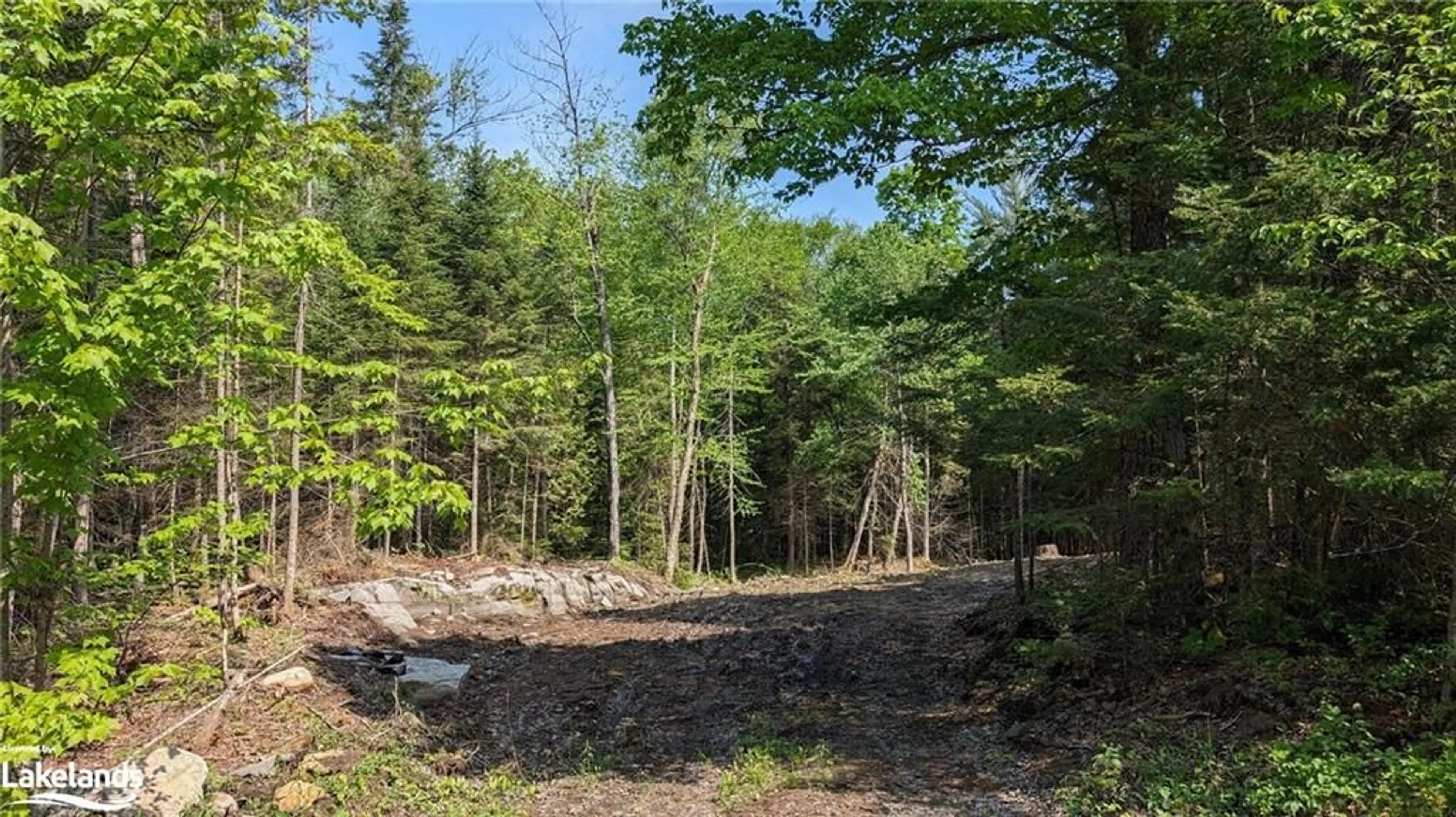Forest view for LOT 2 Limberlost Rd, Lake Of Bays Ontario P1H 2J6
