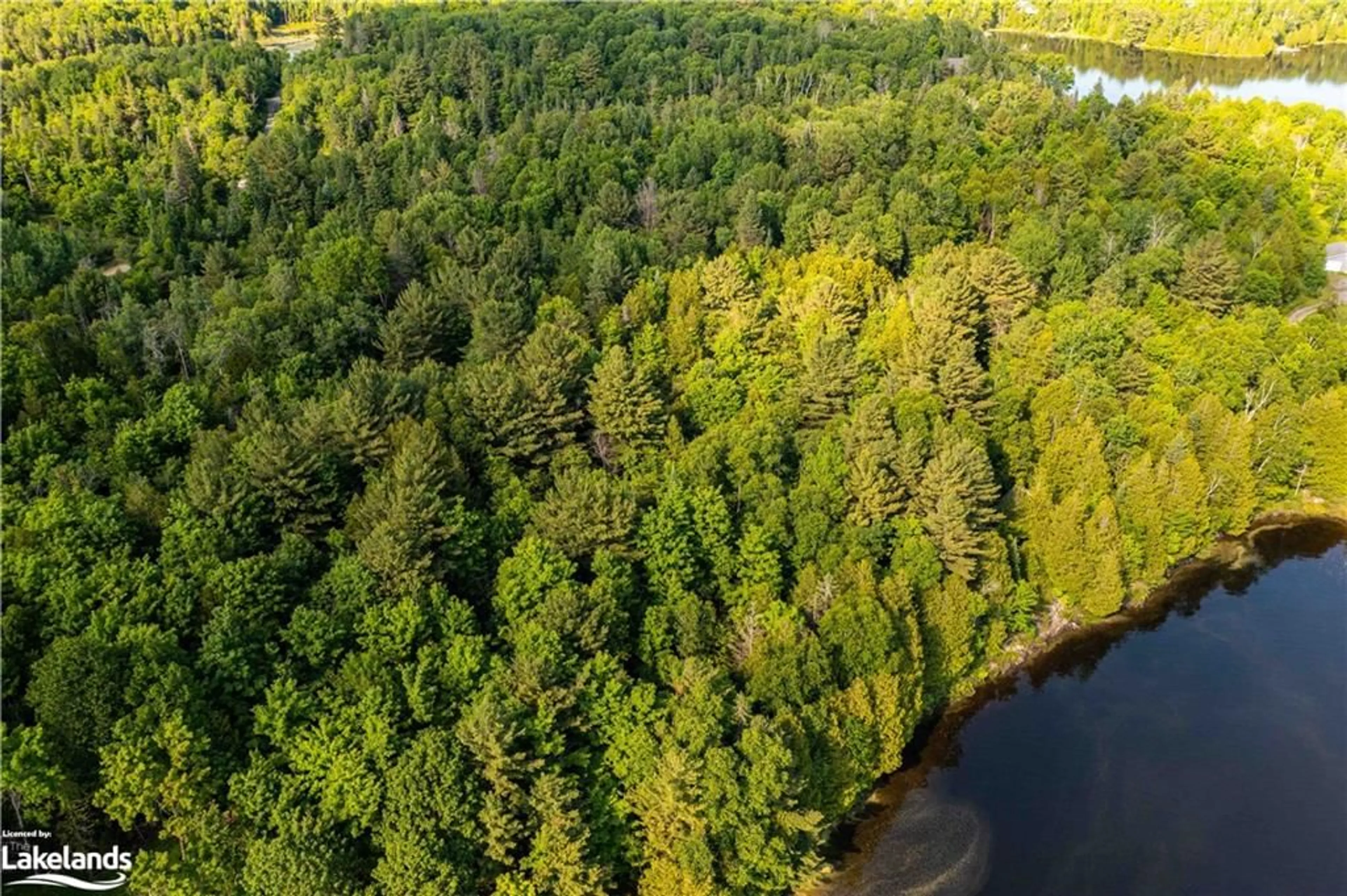 Forest view for 990 Shawanaga Lake Rd, Whitestone Ontario P0A 1G0