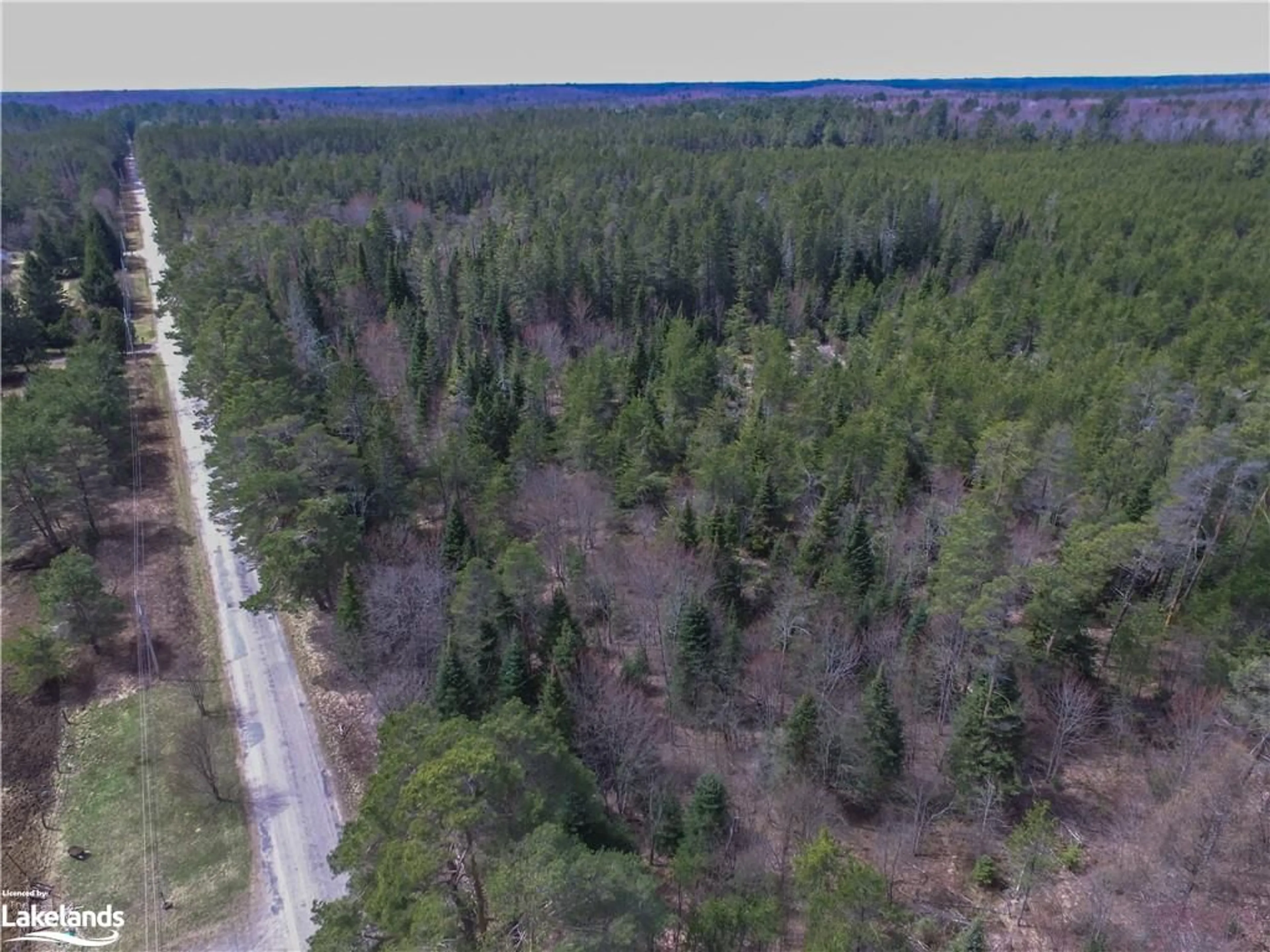 Forest view for 84 Cardwell Lake Rd, Huntsville Ontario P0B 1M0