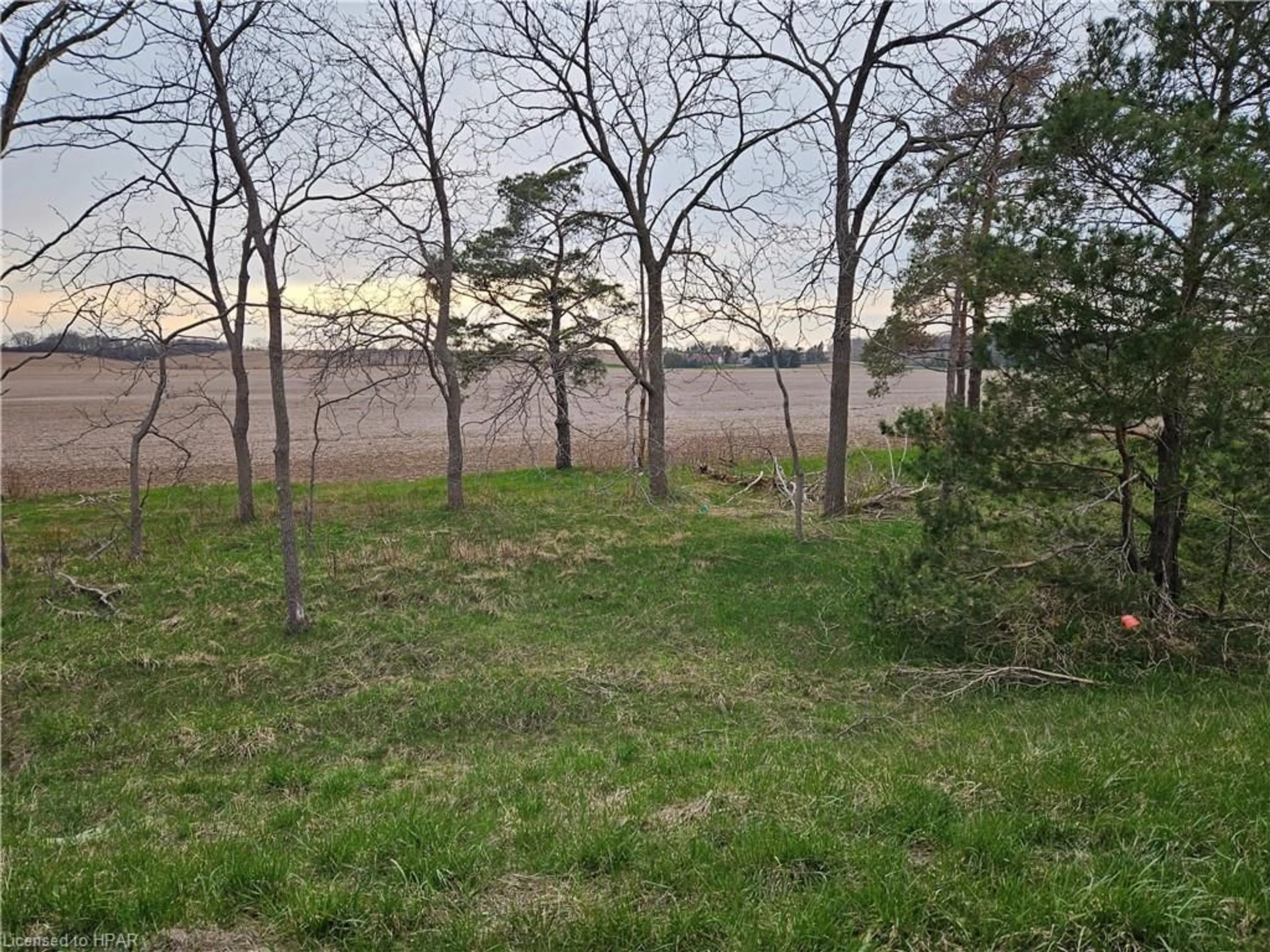 Forest view for LOT 2 Parr Line Line, Holmesville Ontario N0M 1L0