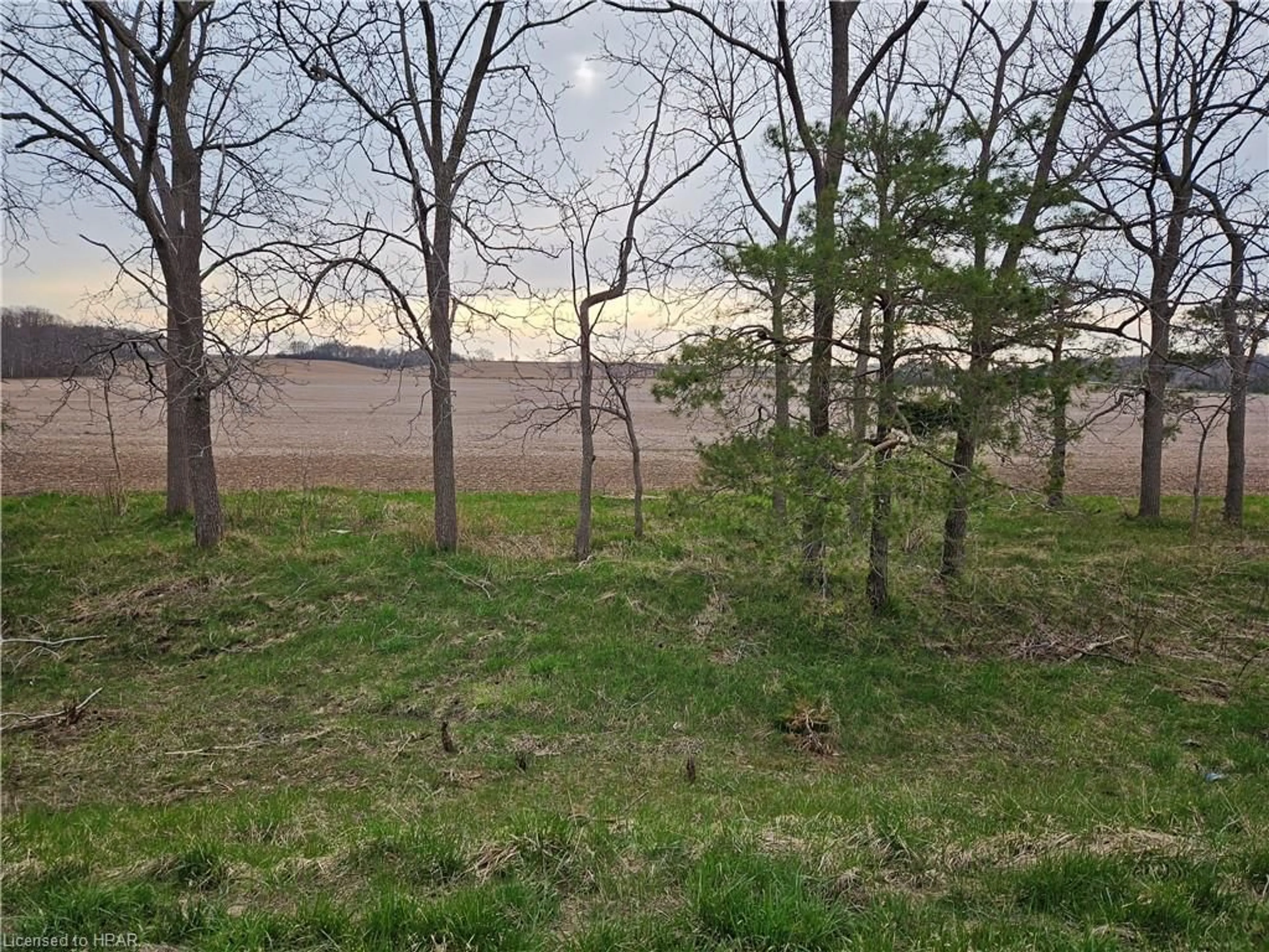Forest view for LOT 3 Parr Line Line, Holmesville Ontario N0M 1L0
