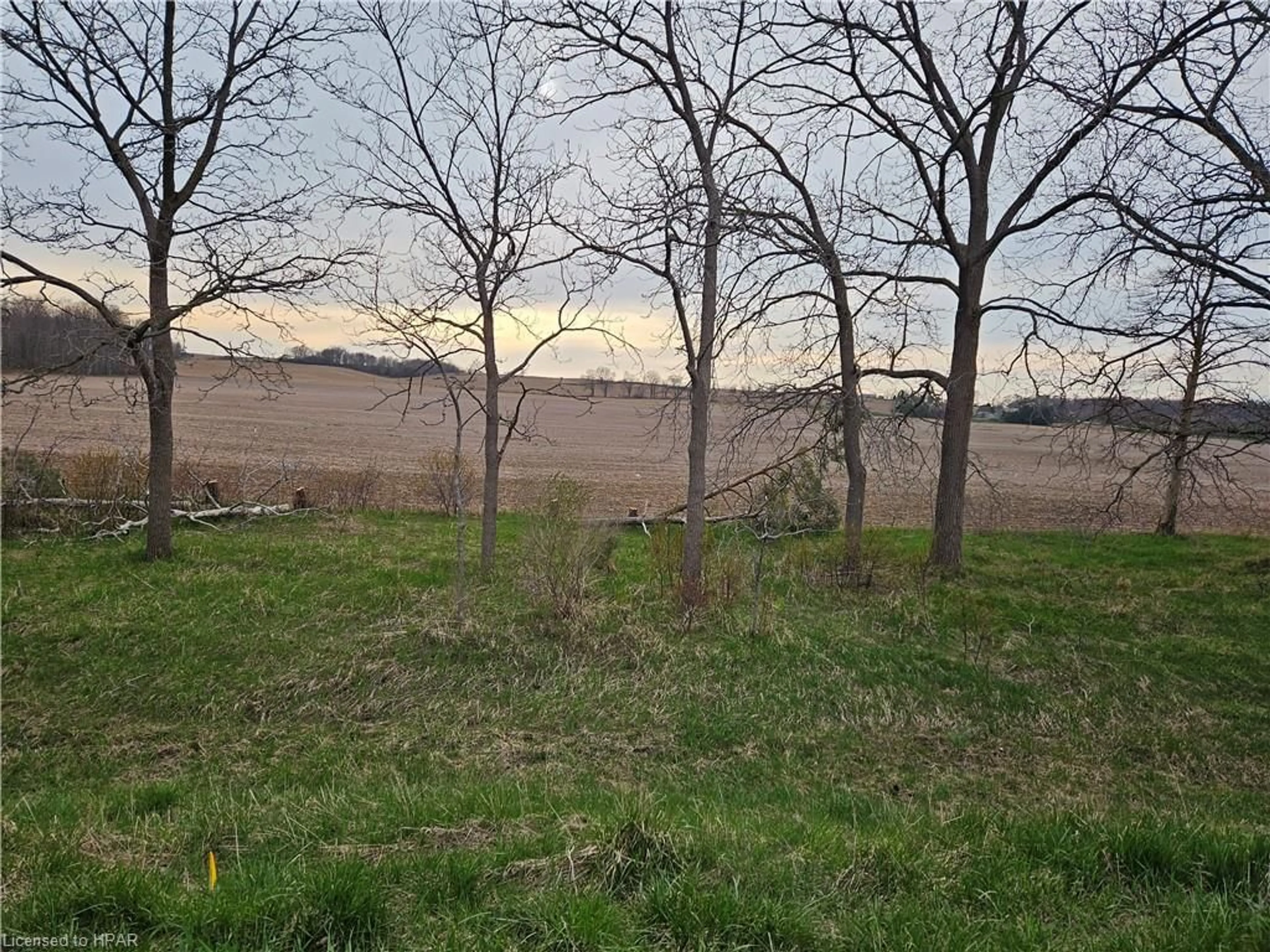 Fenced yard for LOT 4 Parr Line Line, Holmesville Ontario N0M 1L0