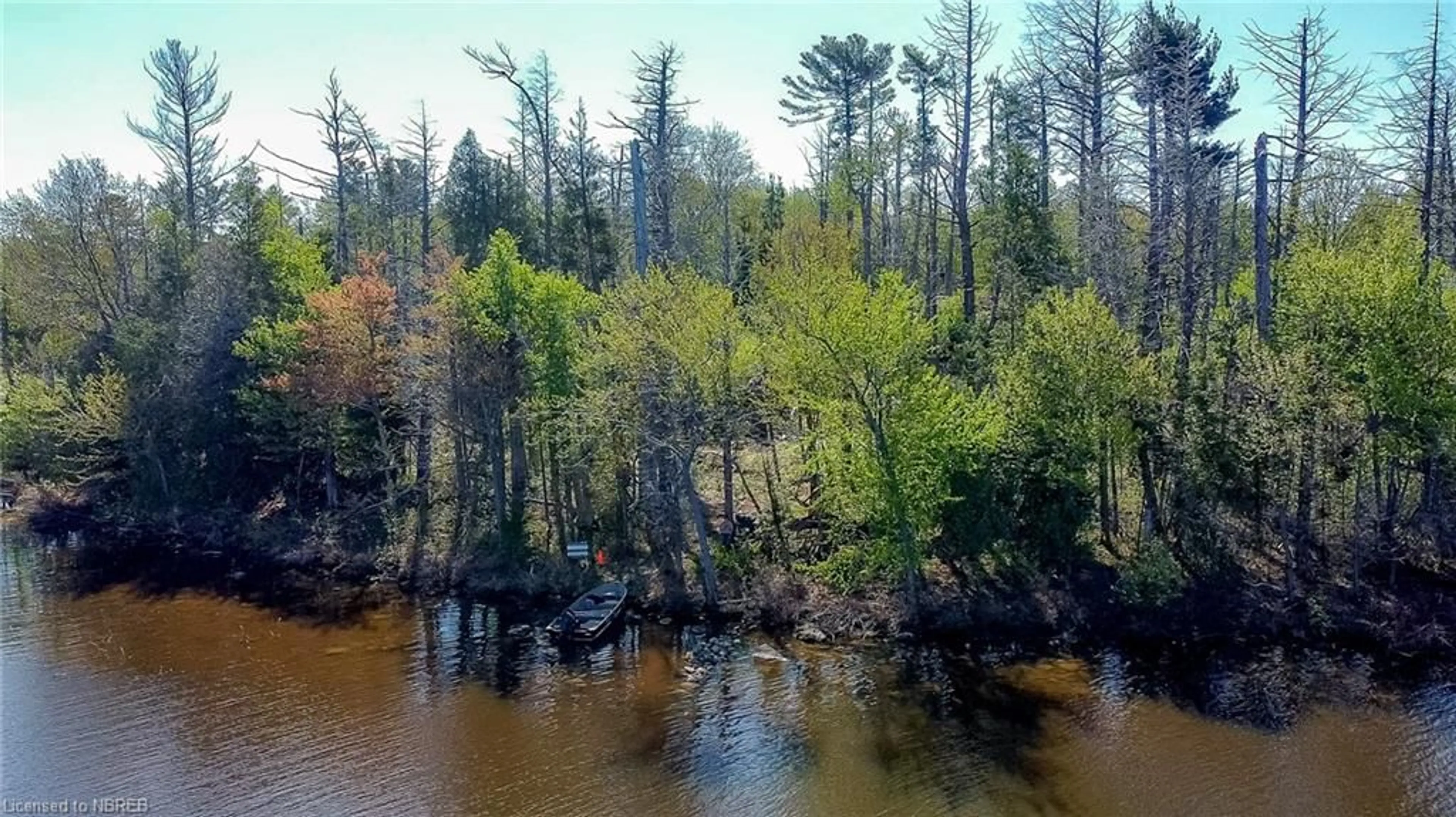 Forest view for LOT 3 Grand Trunk Island, Callander Ontario P0H 1H0