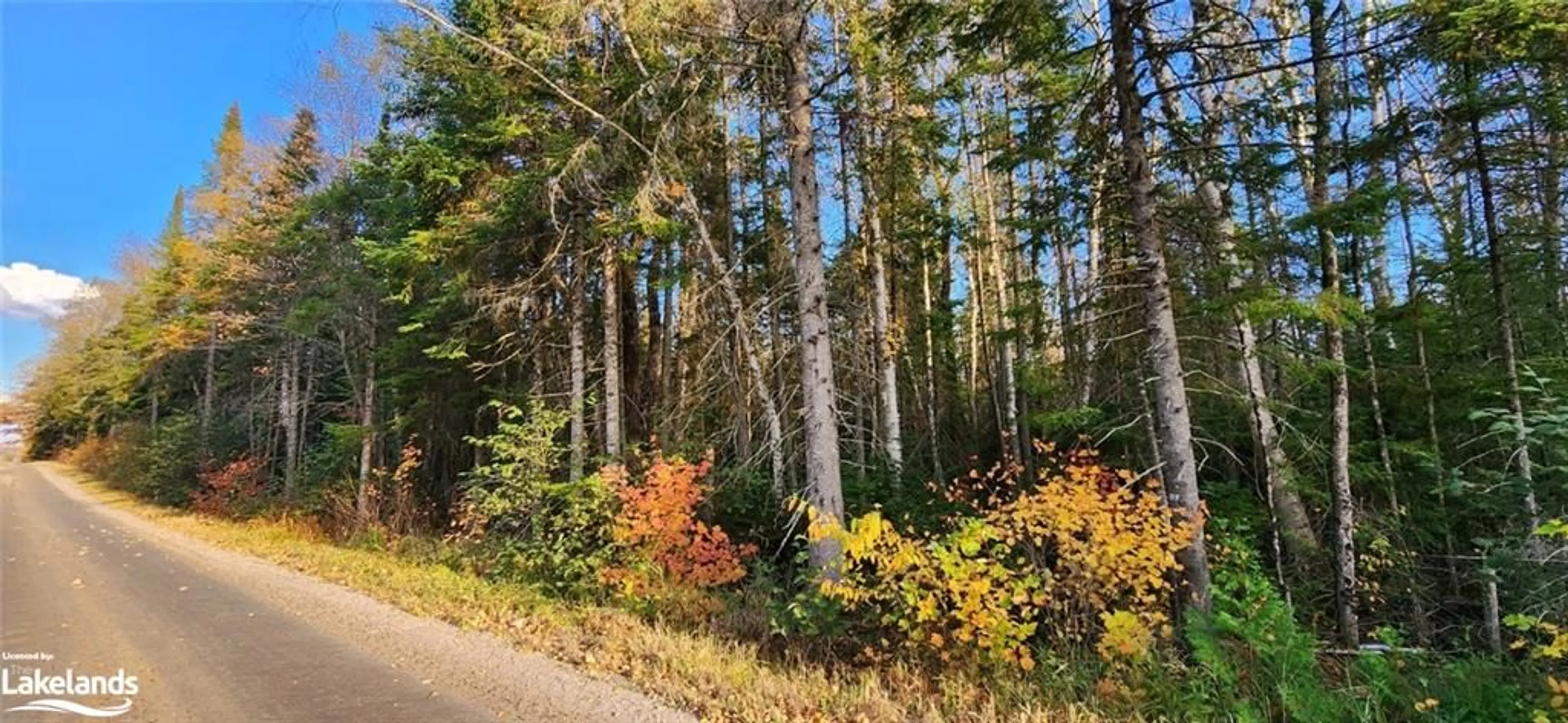 Forest view for LOT B Bevans Rd, Kearney Ontario P0A 1M0