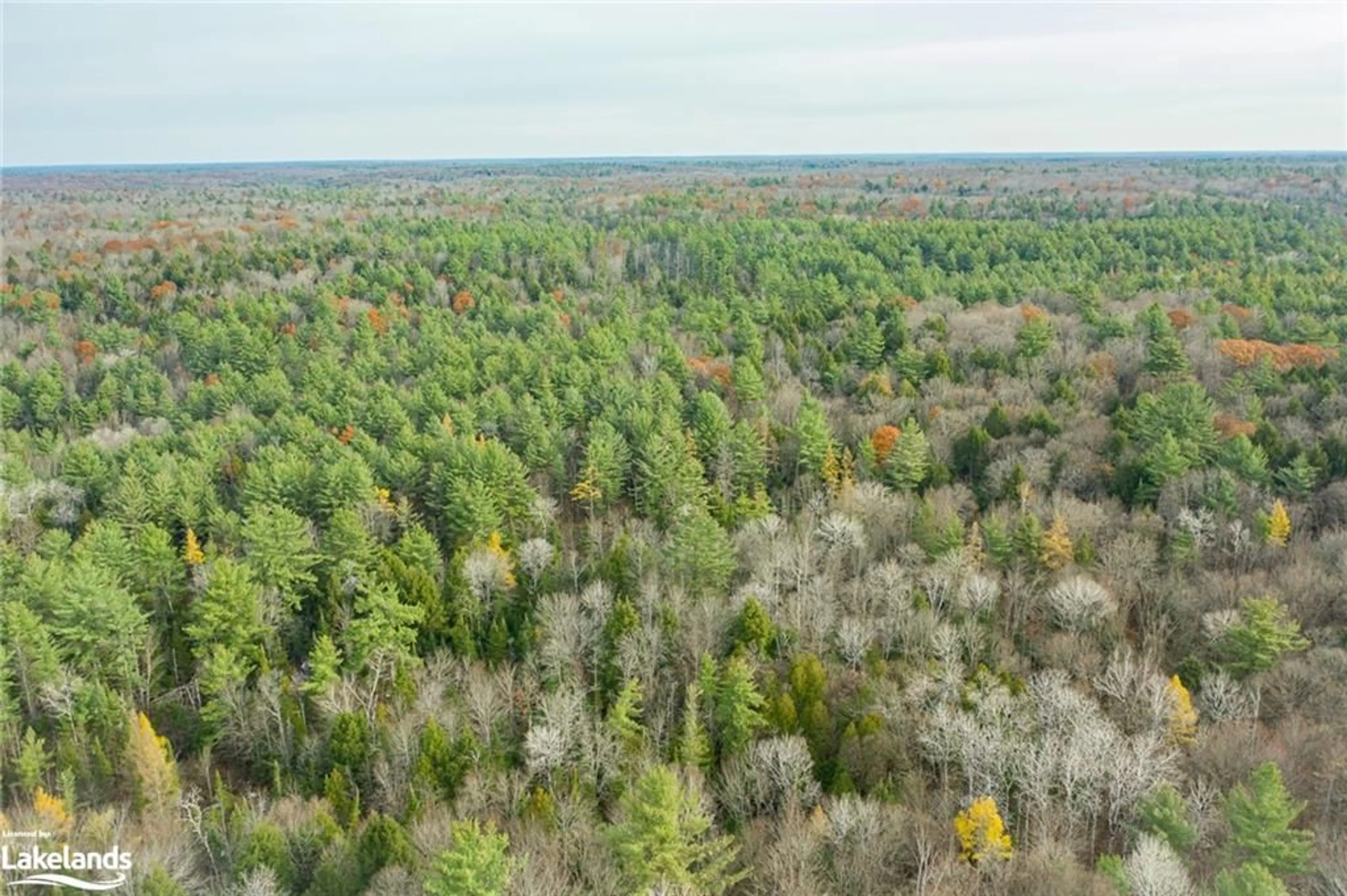 Forest view for 0 Rocksborough Rd, Bracebridge Ontario P1L 0A1
