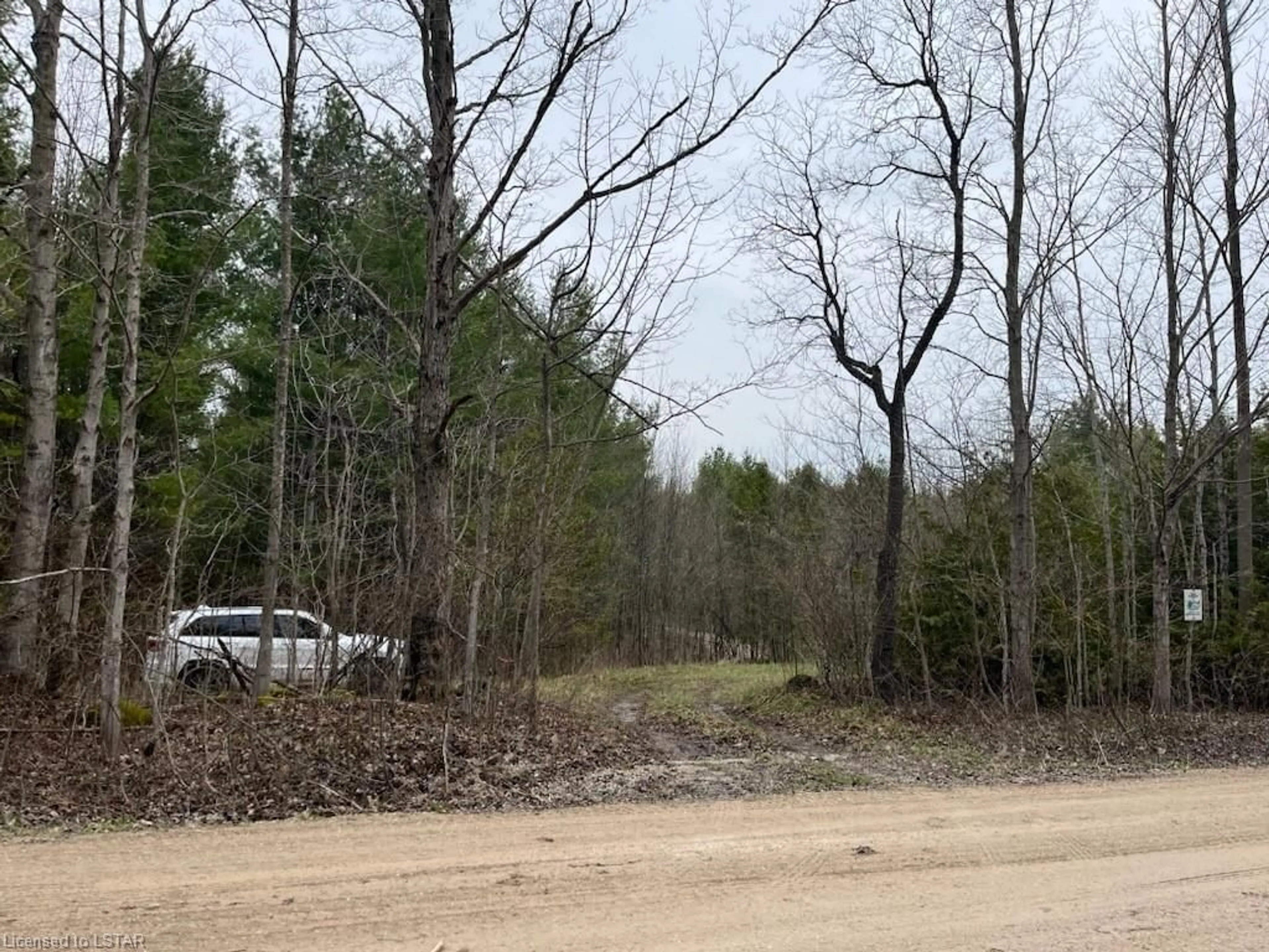 Forest view for LOT 10 Concession 14 Ndr, Bentinck Twp Ontario N0G 1L0