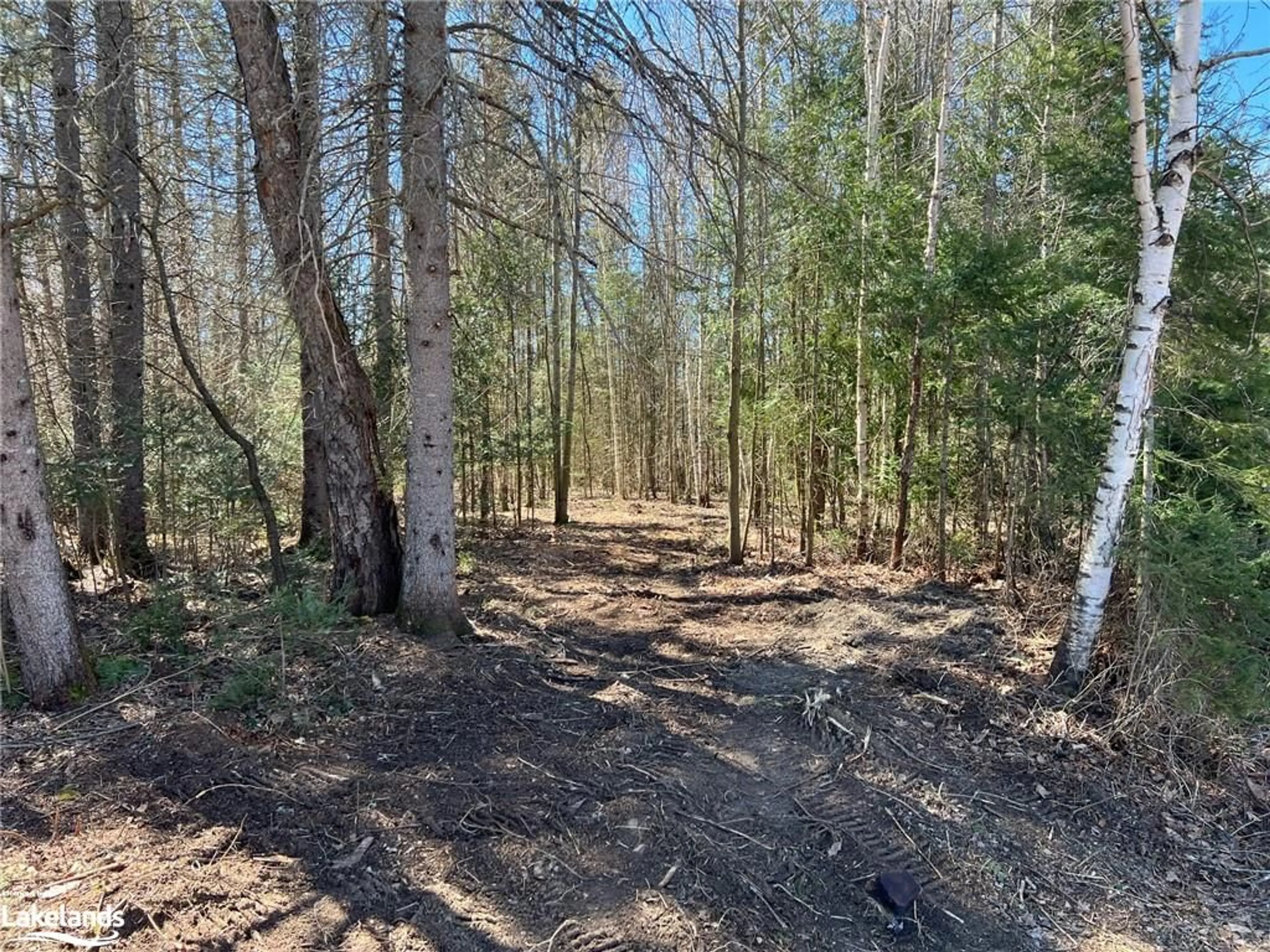 Forest view for 23 Cedar Crt, South River Ontario P0A 1X0