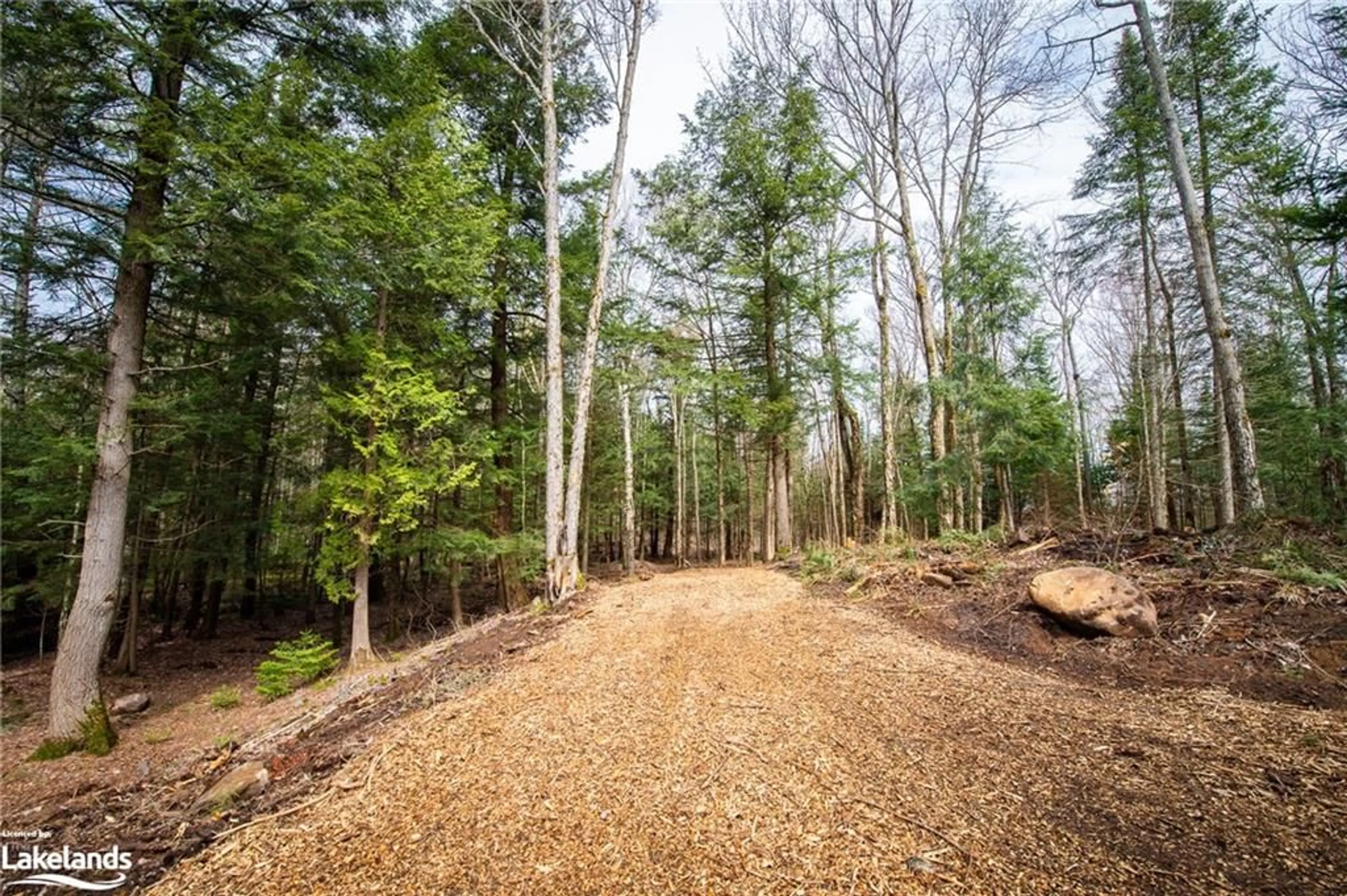 Forest view for PART LOT 11 Concession 3, Utterson Ontario P0B 1J0