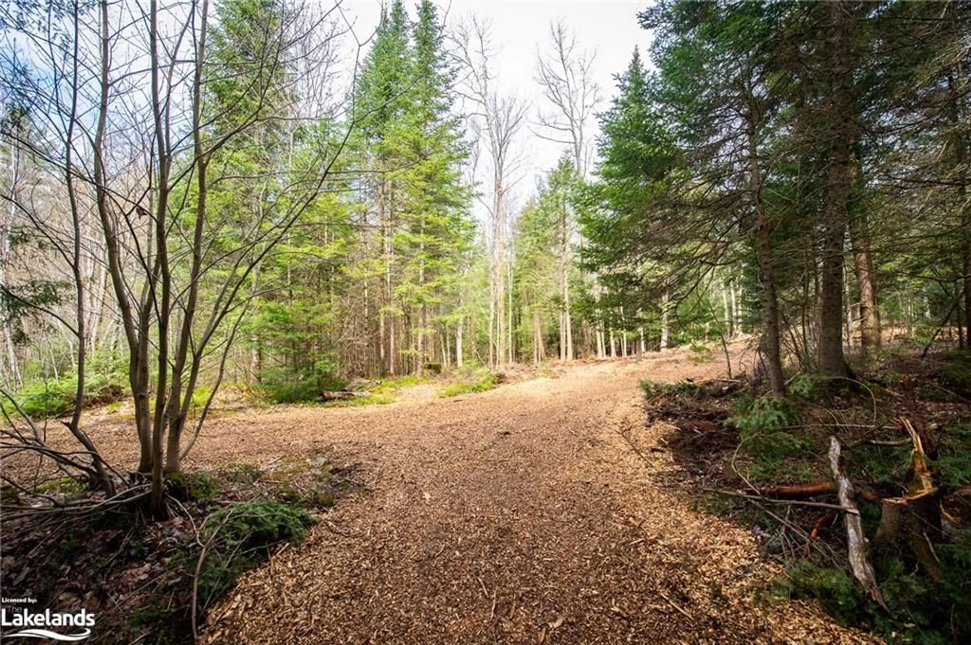Forest view for PART LOT 11 Concession 3, Utterson Ontario P0B 1J0