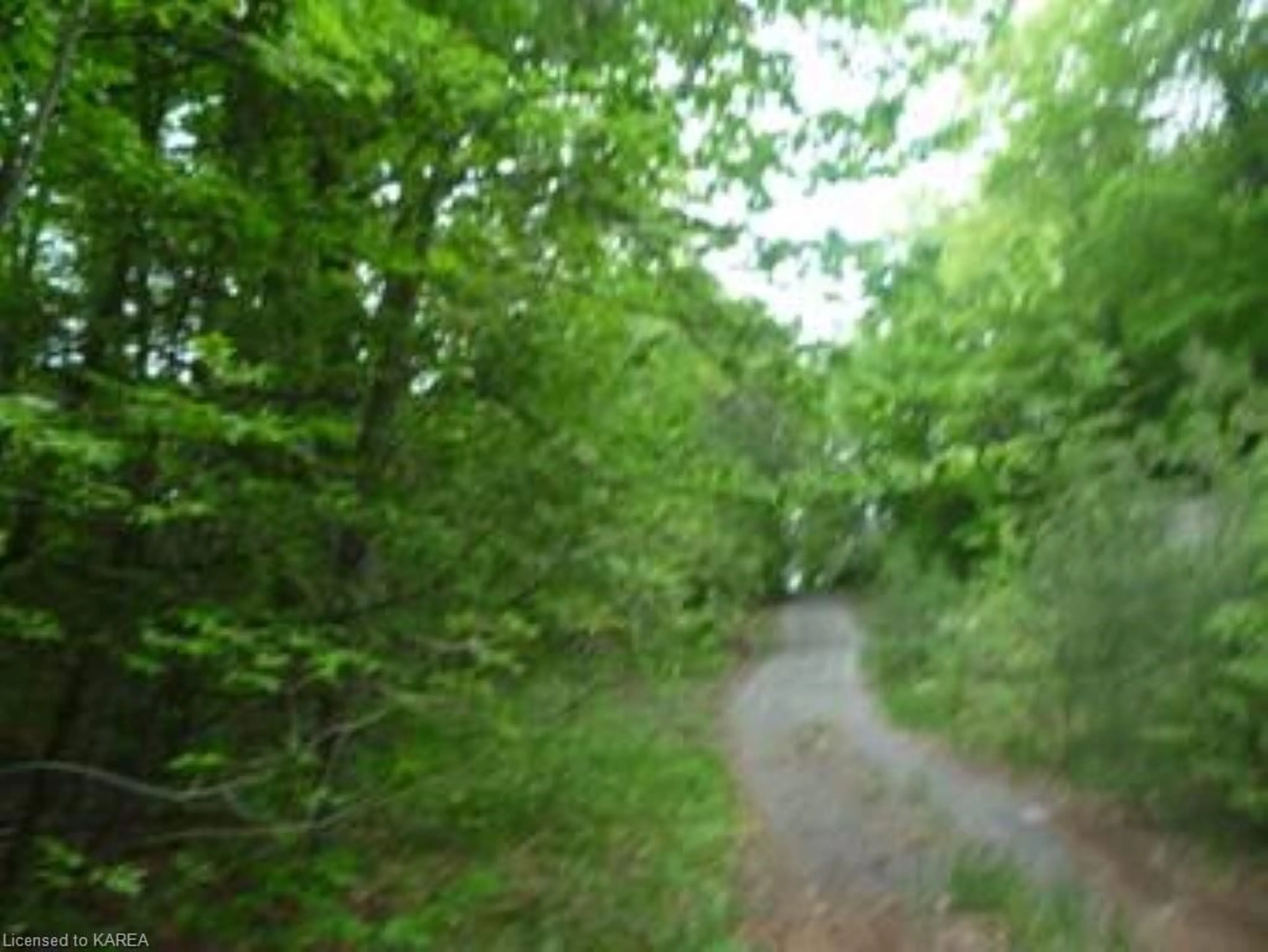 Forest view for PART LOT 26 Penyck Lake Lane, CentralFrontenac Ontario K0H 2P0