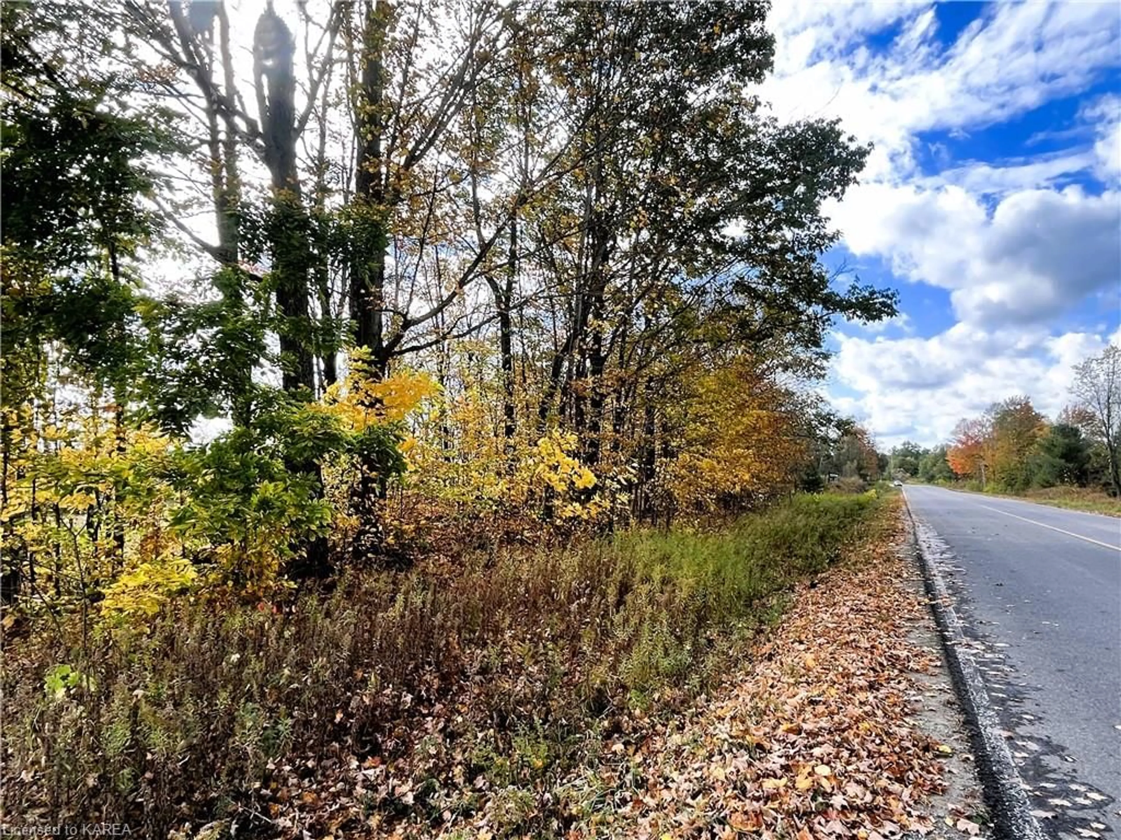 Forest view for PT LT 18 Fifth Lake Rd, Parham Ontario K0H 2K0