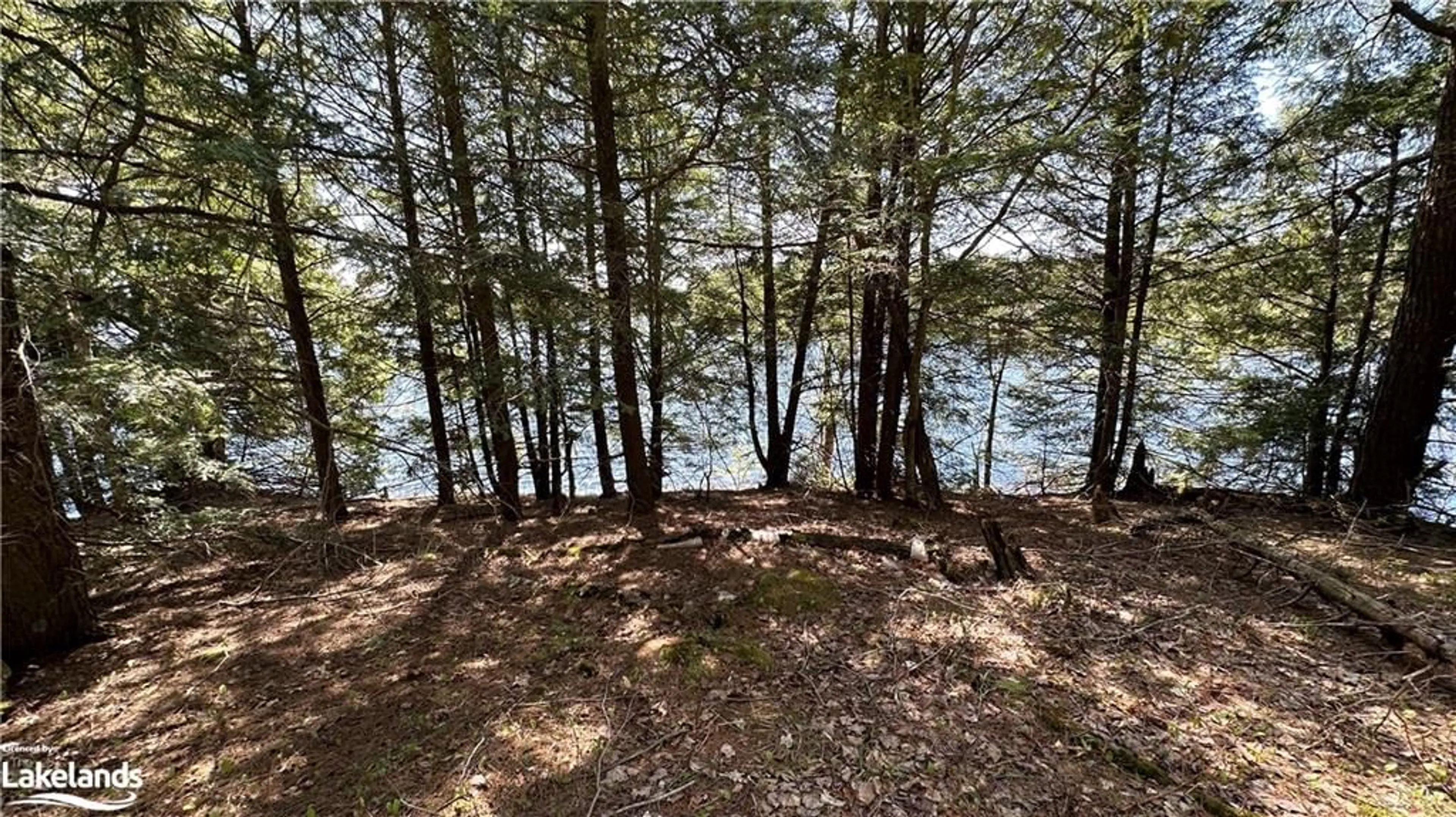 Forest view for 36 Magnet Rd, Magnetawan Ontario P0A 1P0