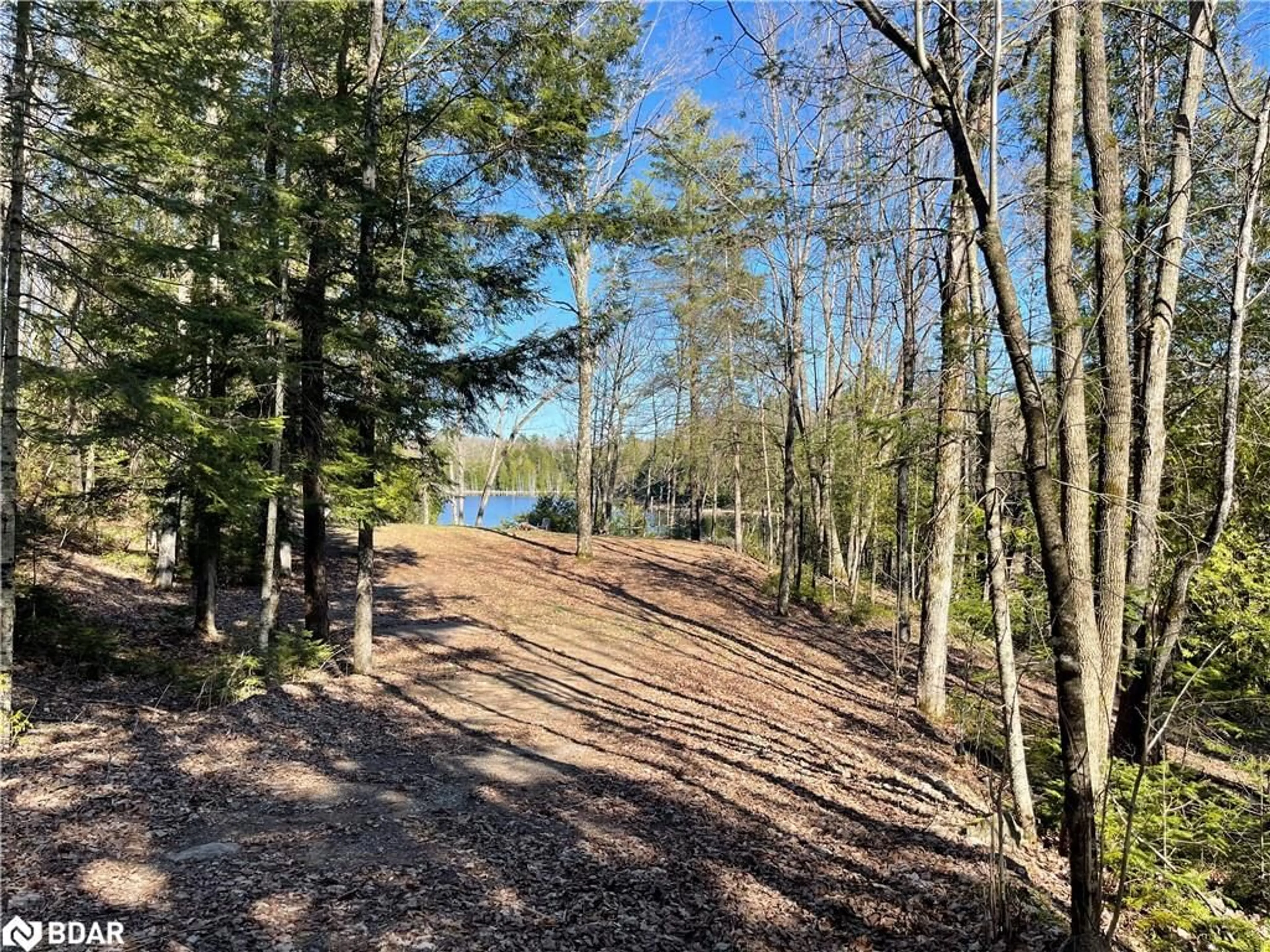 Forest view for 0 (PART 2) South Rd, Cloyne Ontario K0H 1K0