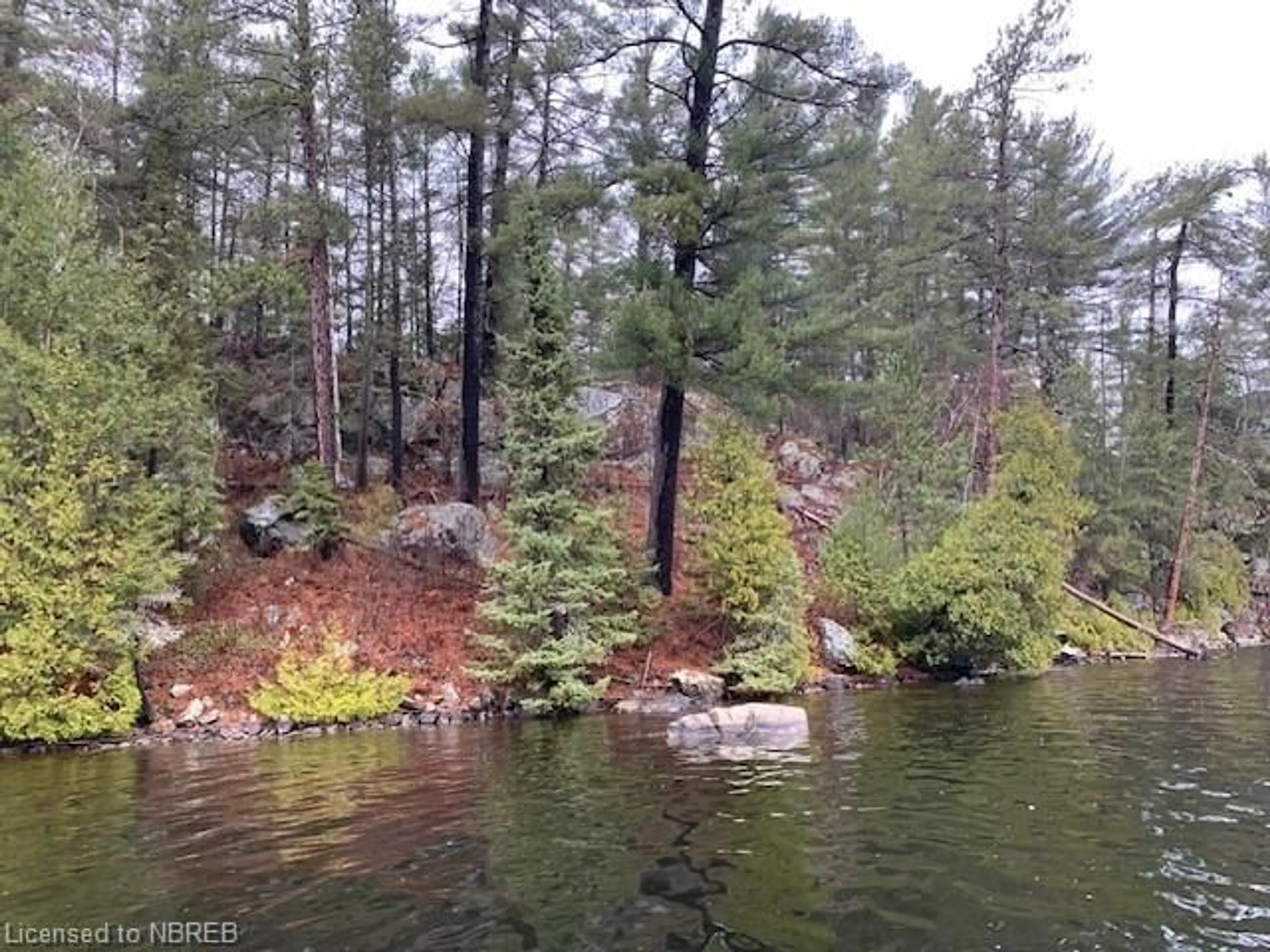 Forest view for LOT 1 Fox Run Dr, Temagami Ontario P0H 2H0
