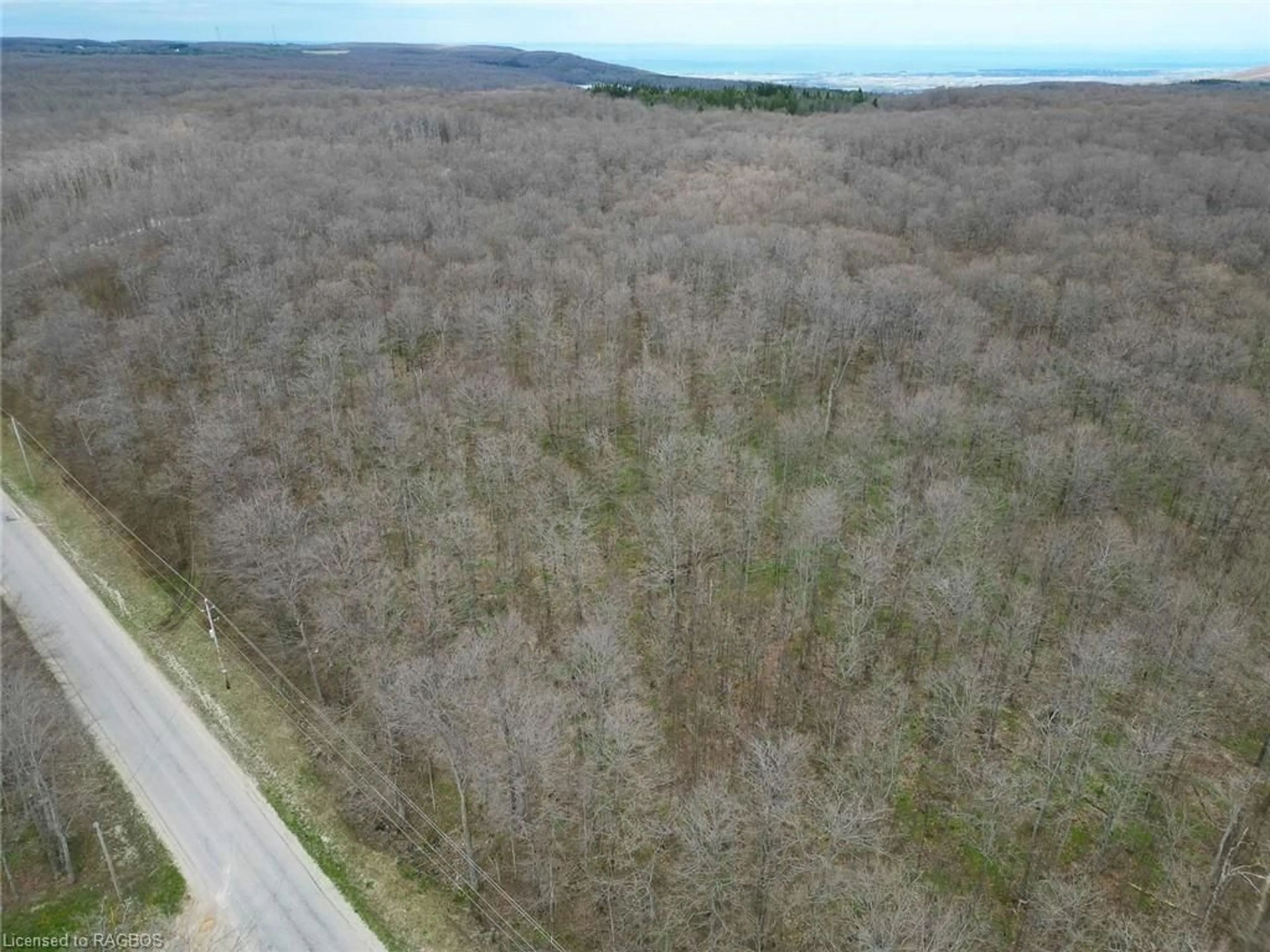 Forest view for PT LT 8 4th Line, Town Of Blue Mountains Ontario N0H 2E0