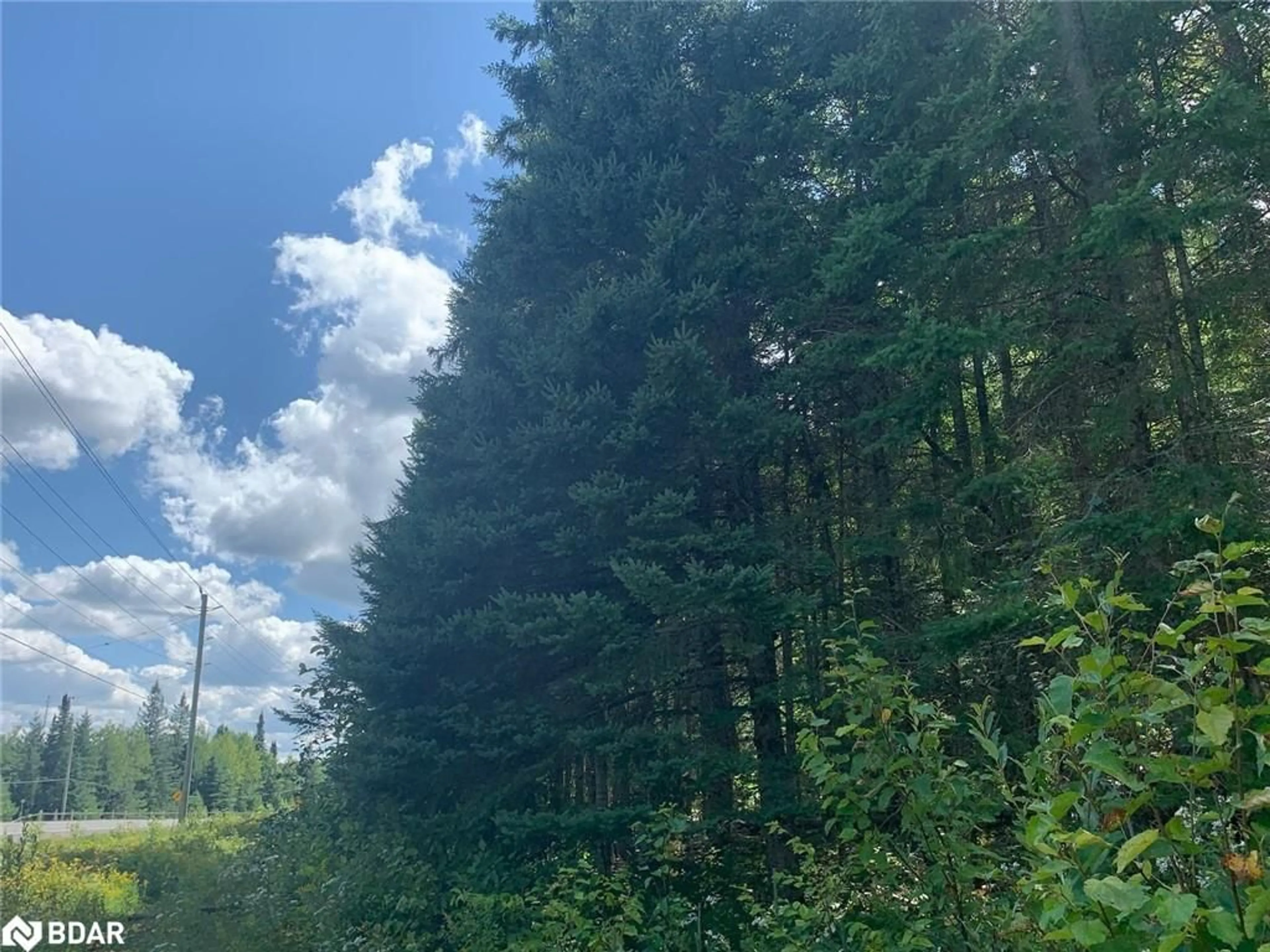 Forest view for N/A Con 6 Lot 29 Hwy #may, Maynooth Ontario K0L 1C0