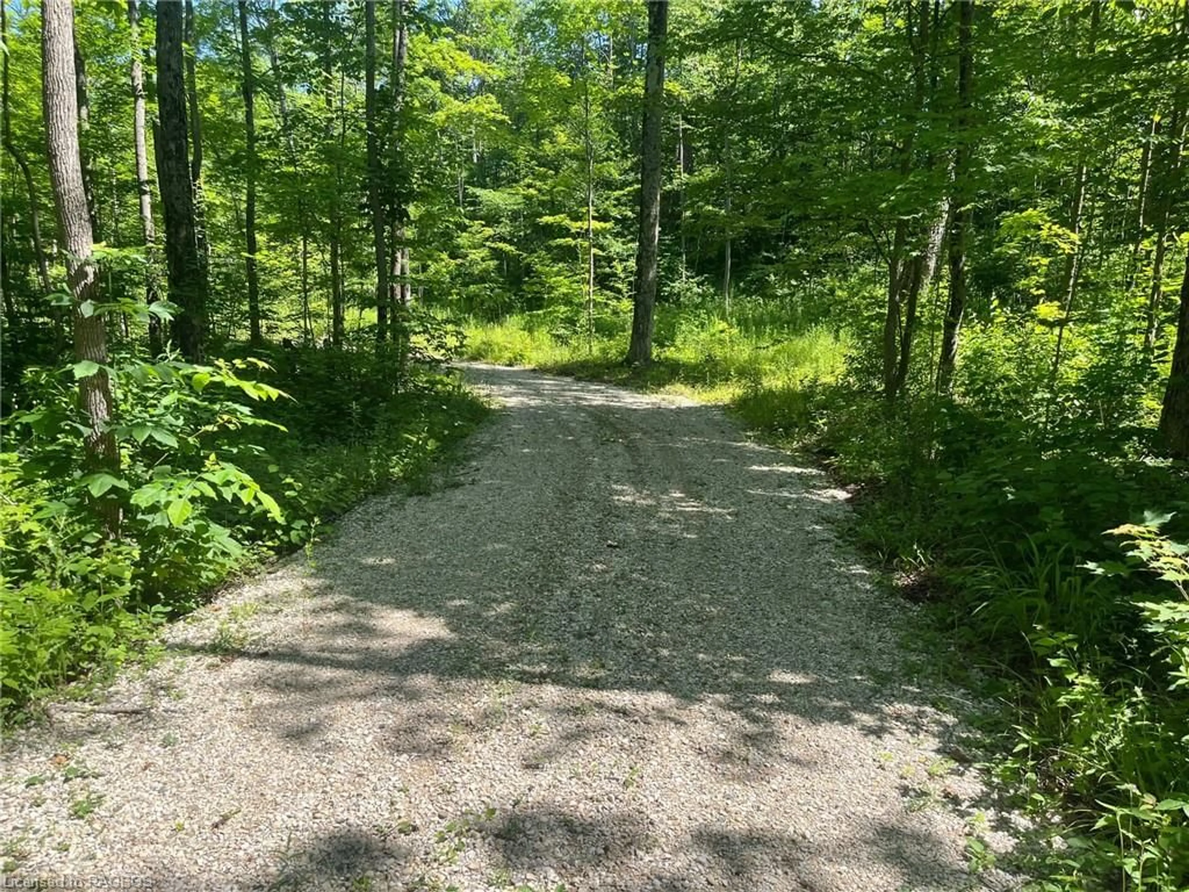 Forest view for PT LT 4 Concession Road 8, West Grey Ontario N0C 1H0