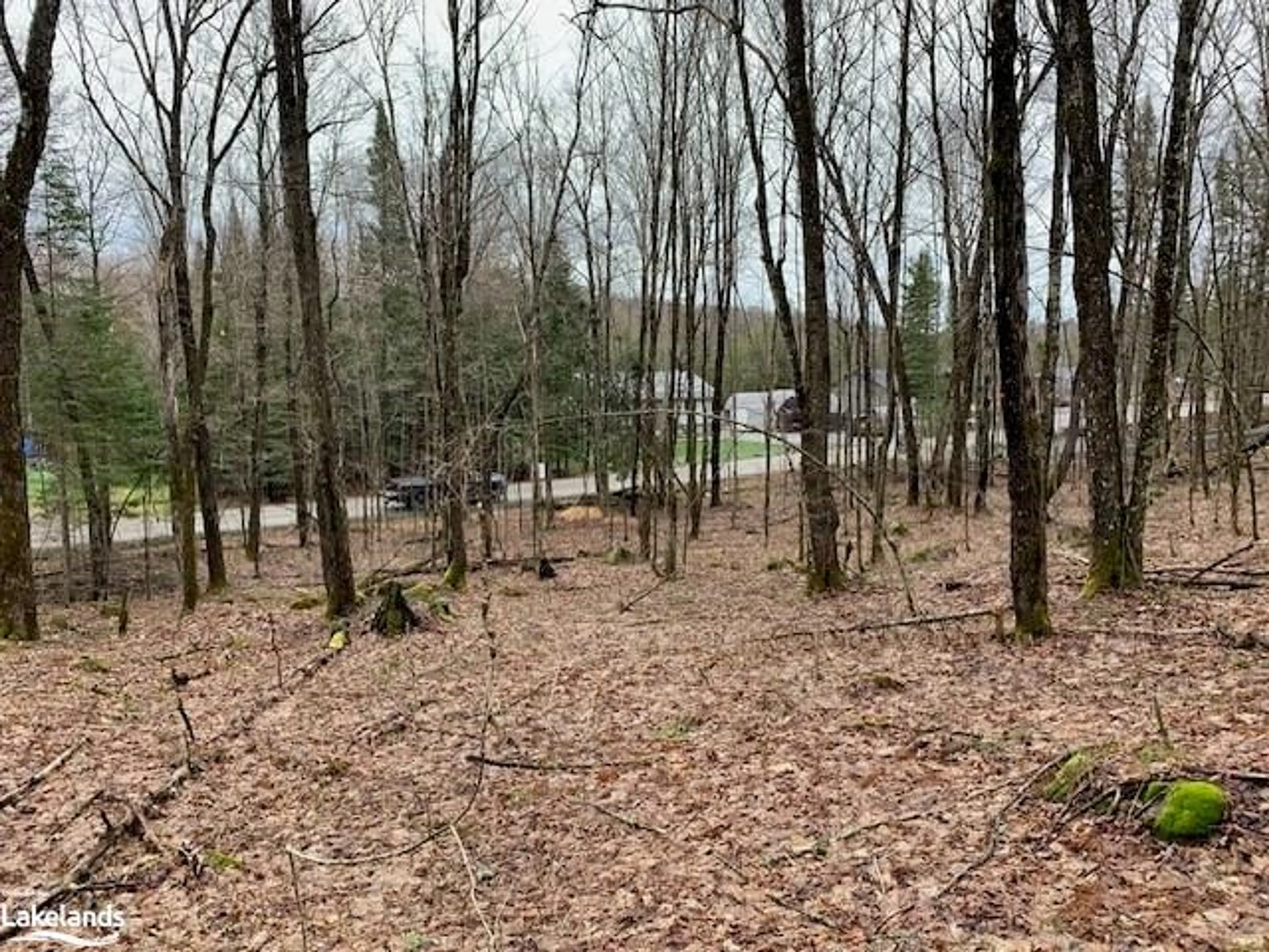 Forest view for LOT 2 Old Aspdin Rd, Huntsville Ontario P0B 1M0