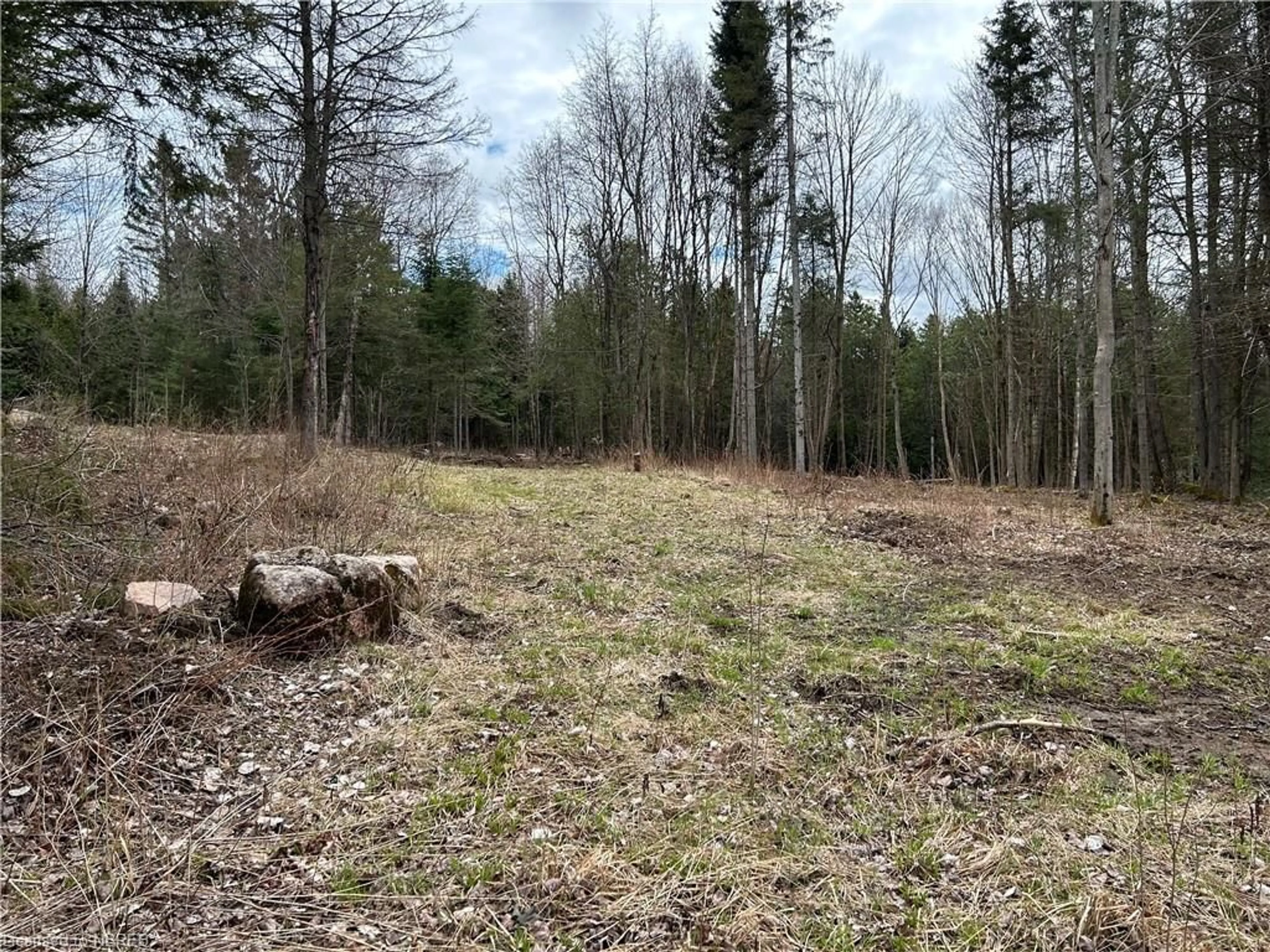 Forest view for LOT 4 Laurier St, Bonfield Ontario P0H 0A3