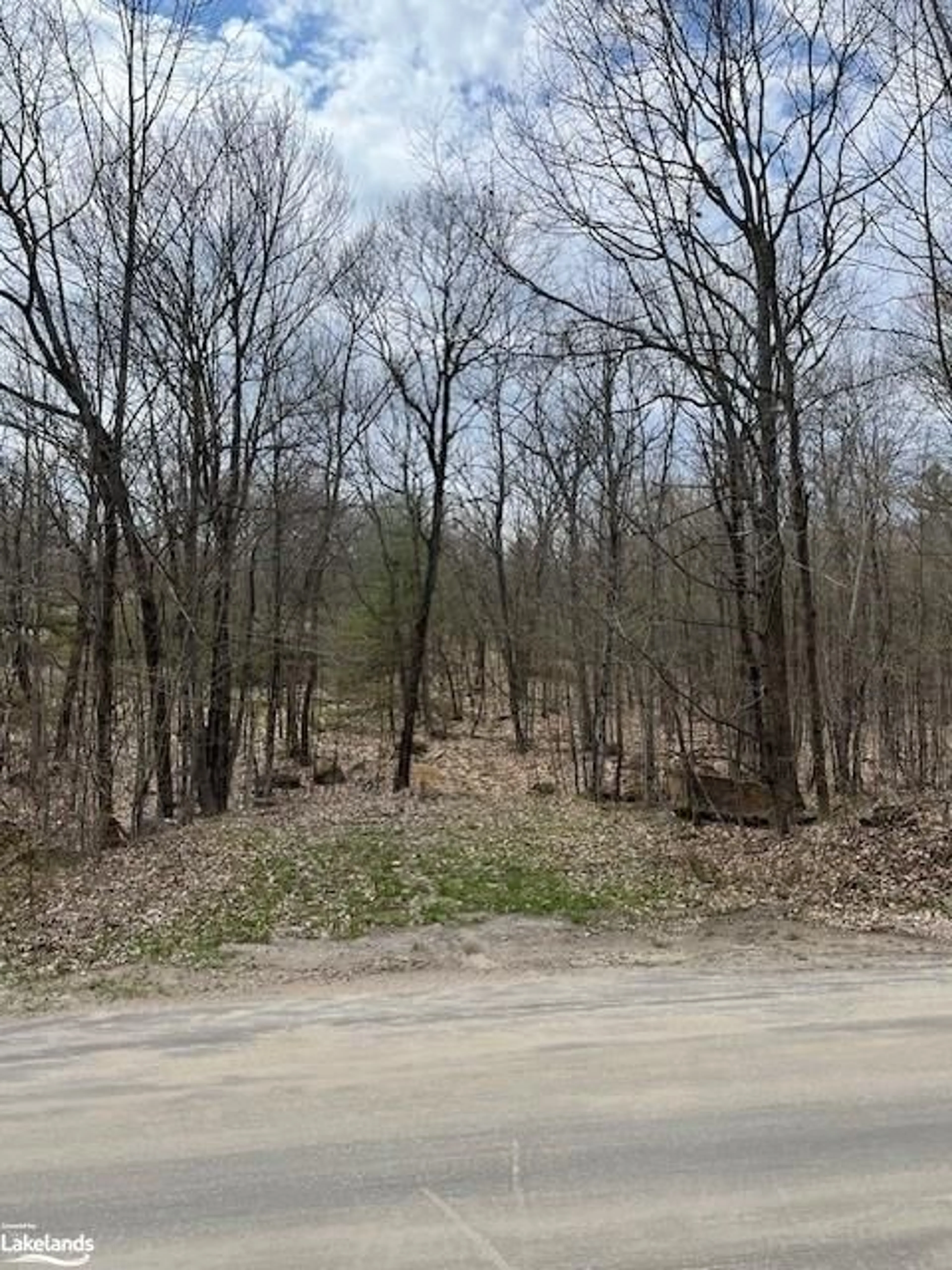 Forest view for 0 Rackety Trail Rd, Minden Ontario K0M 2K0