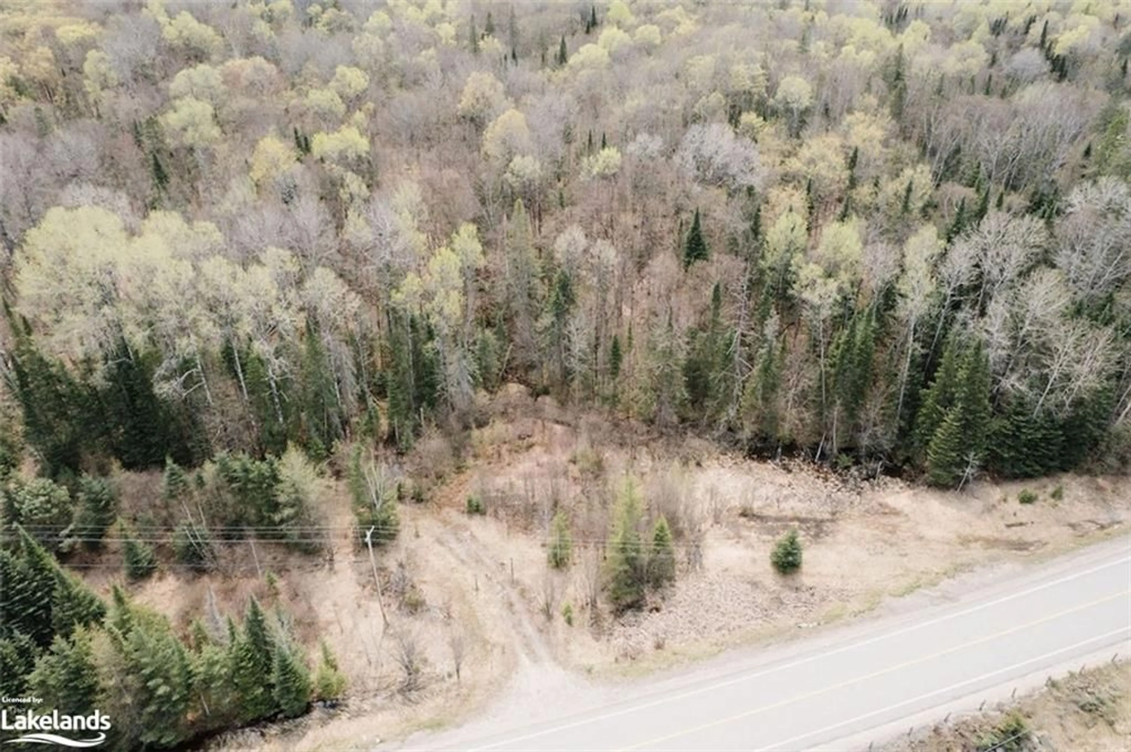 Forest view for 625 518 Hwy, Emsdale Ontario P0A 1J0