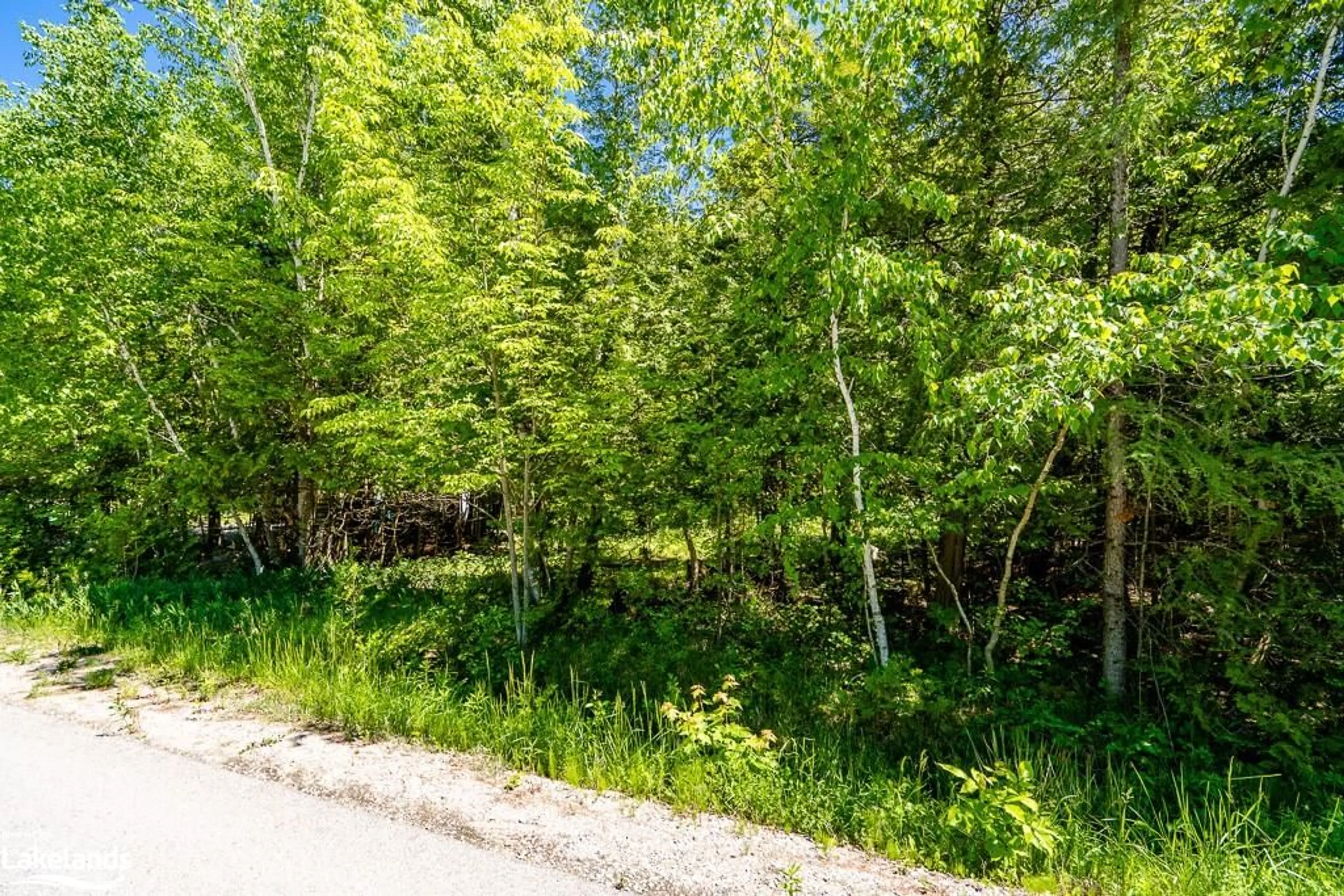 Forest view for LOT 117 Iroquois Cres, Tiny Ontario L9M 0C6