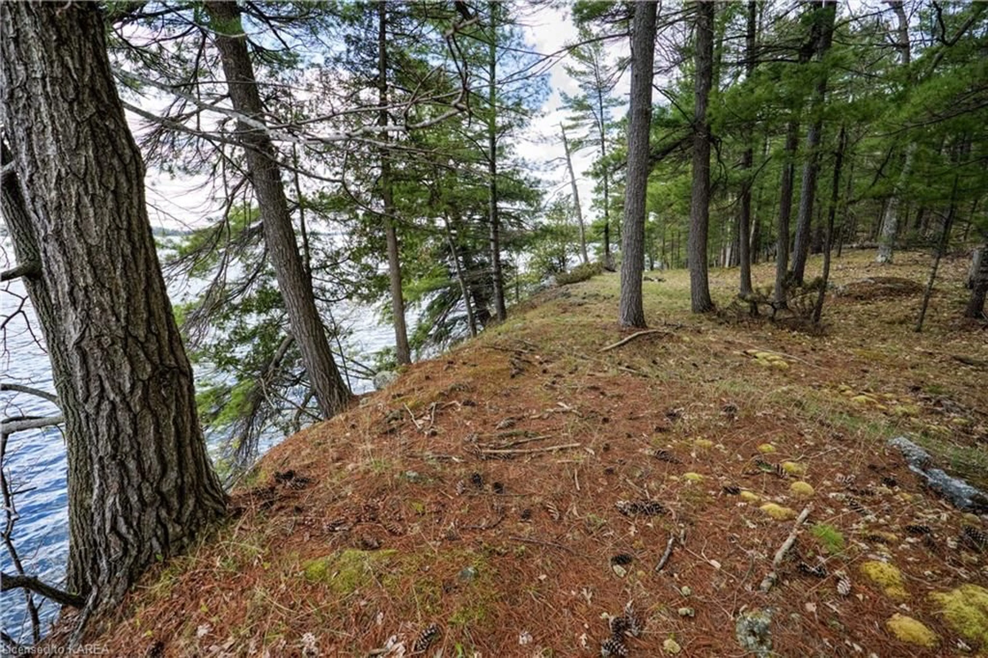 Forest view for PT LT 13 Big Rideau Lake, Tay Valley Ontario K7H 3C5