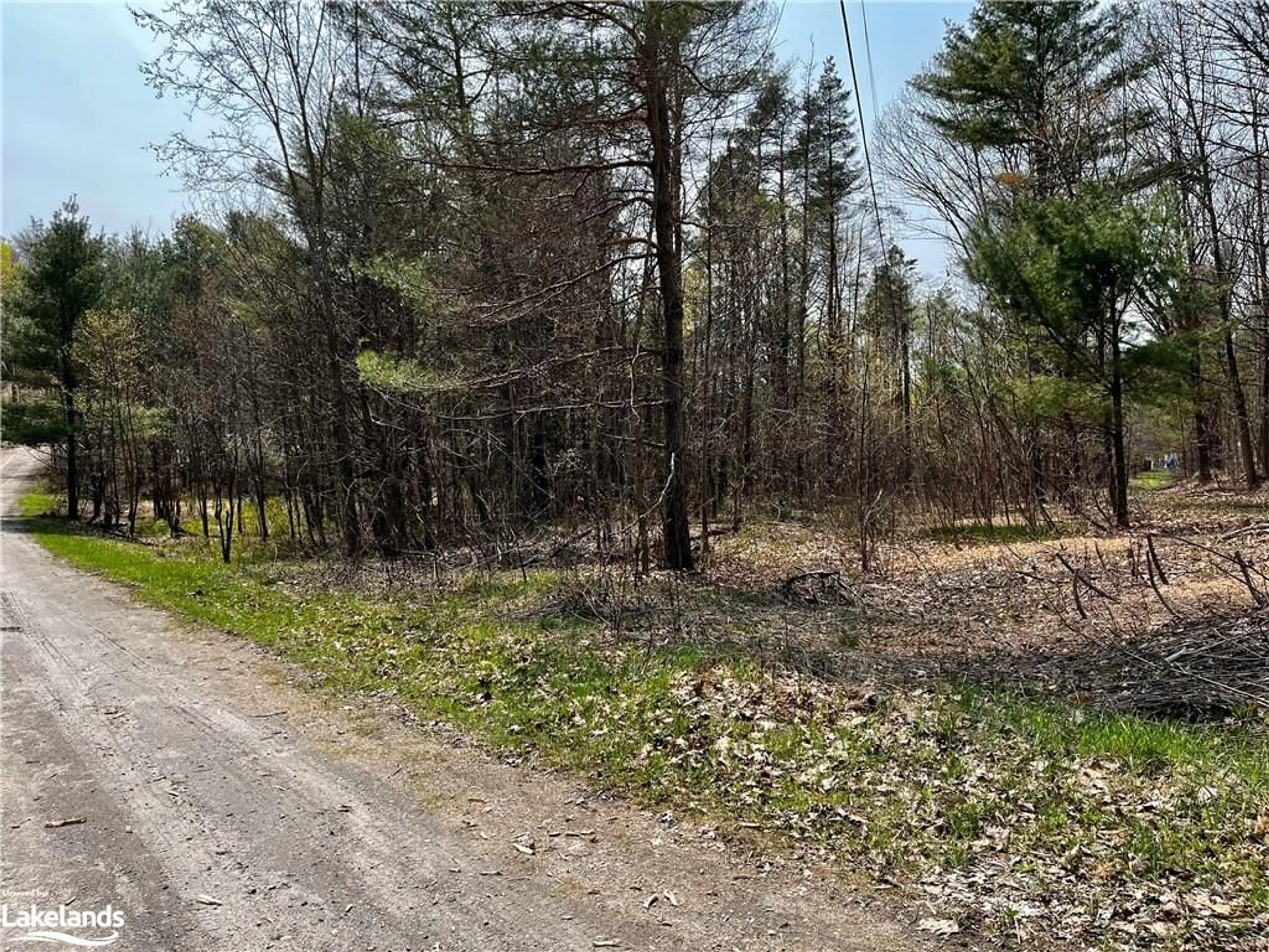 Forest view for 1005 Strathdee Rd, Utterson Ontario P0B 1M0