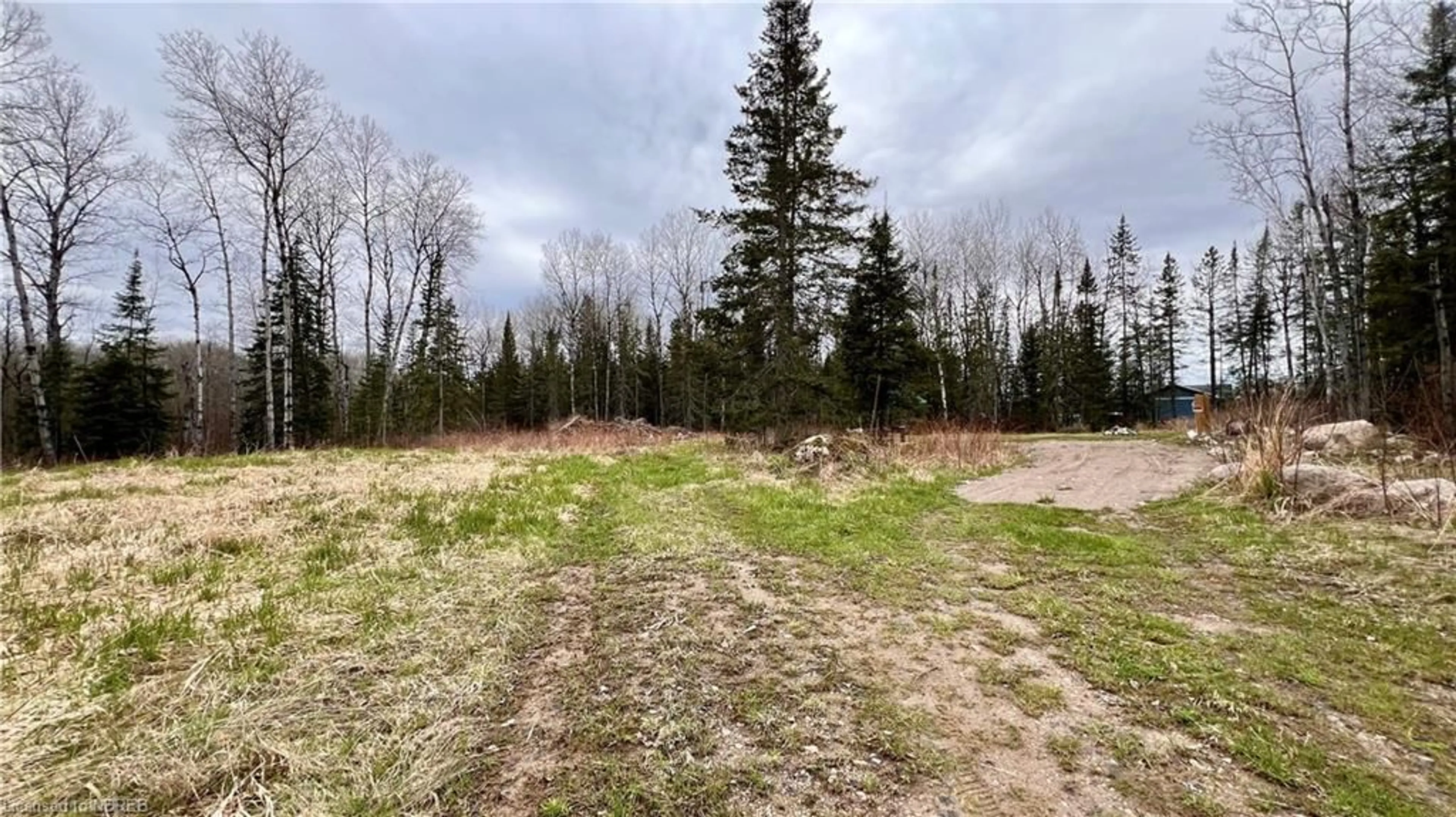 Forest view for 461 Alderdale Rd, Chisholm Ontario P0H 1B0