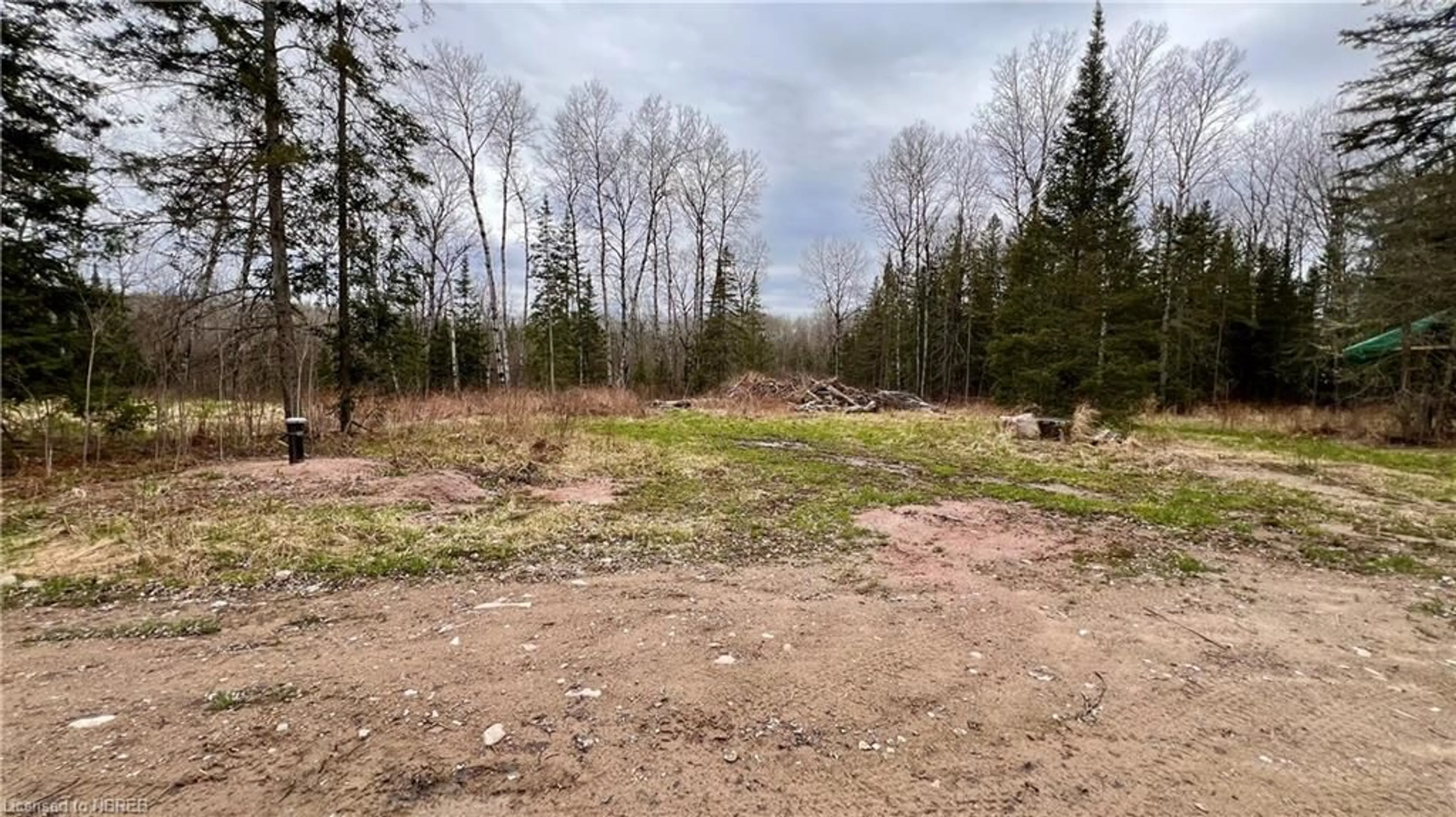 Forest view for 461 Alderdale Rd, Chisholm Ontario P0H 1B0