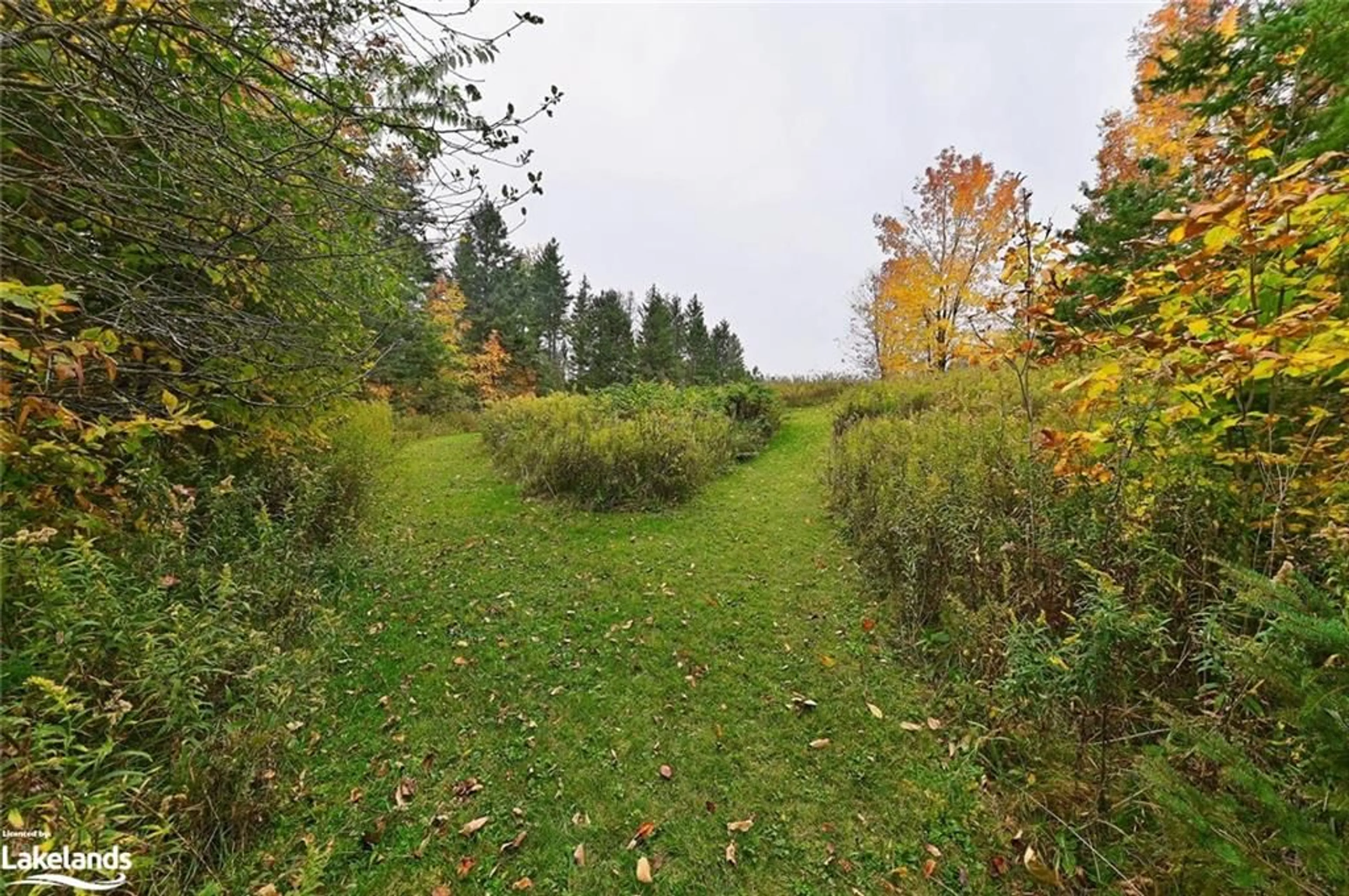 Forest view for 627315 15th Side Road, Mulmur Ontario L9V 0T6