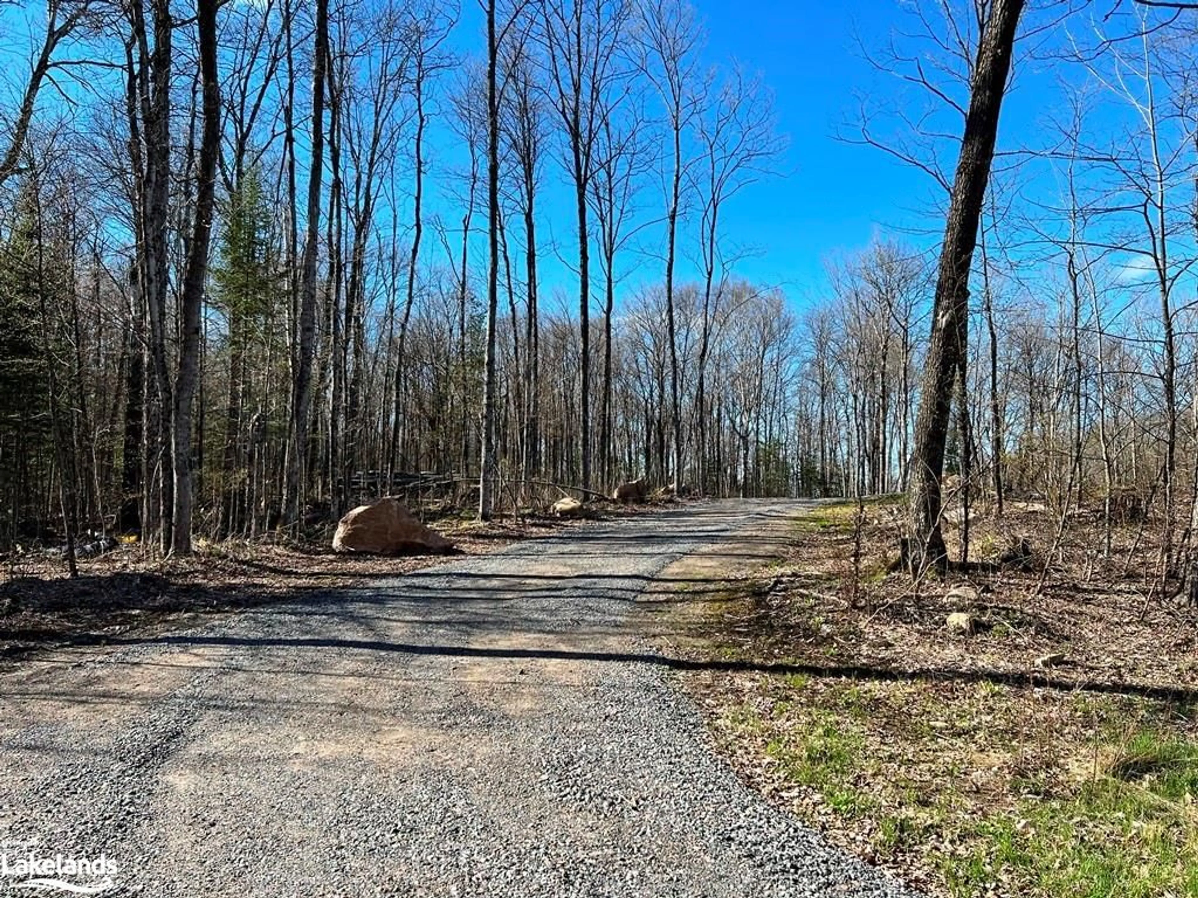 Forest view for 1199 Cedar Lake Rd, Wilberforce Ontario K0L 3C0