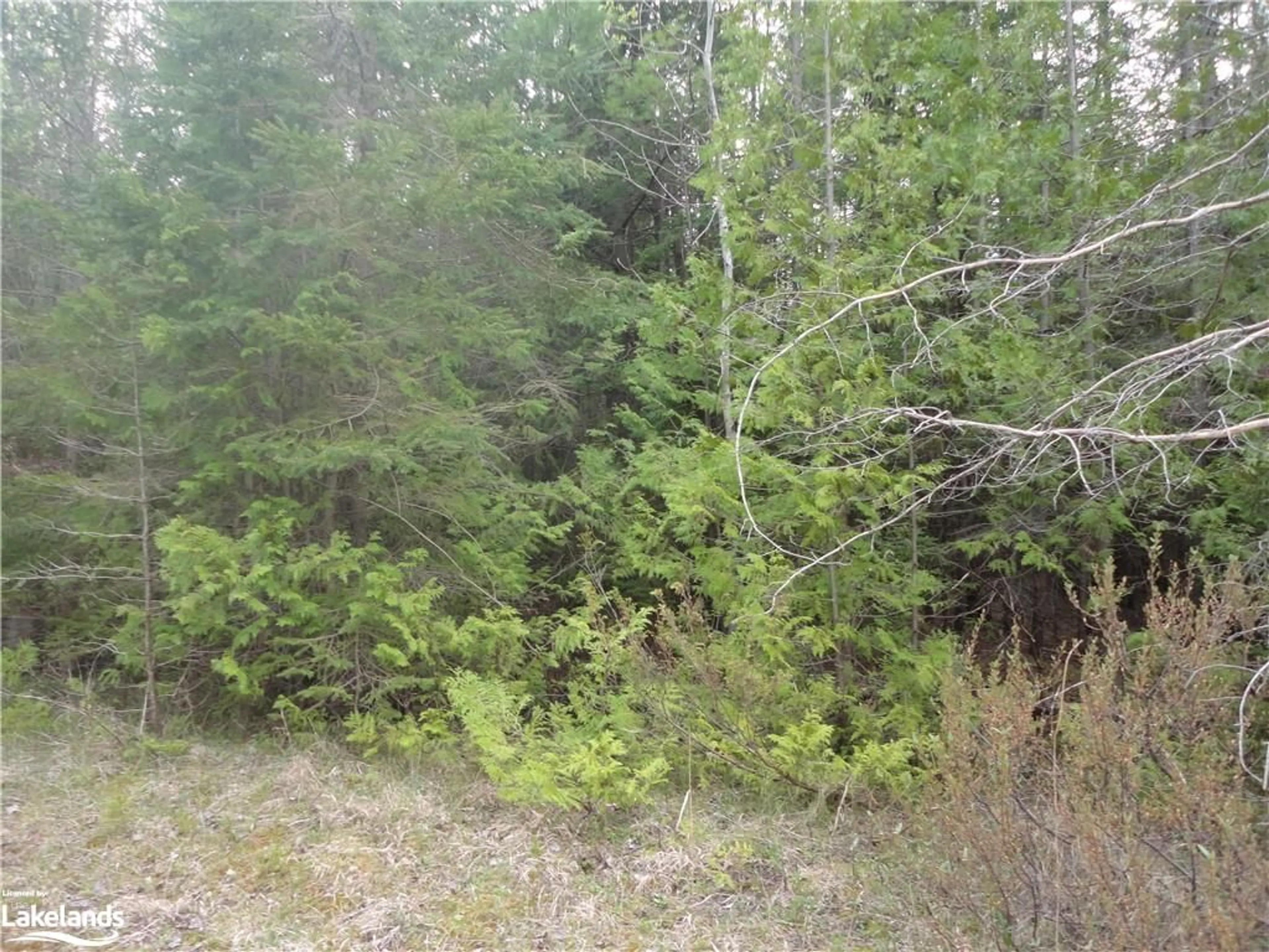 Forest view for LOT 74 Bay Sands Dr, Wasaga Beach Ontario L9Z 1V1